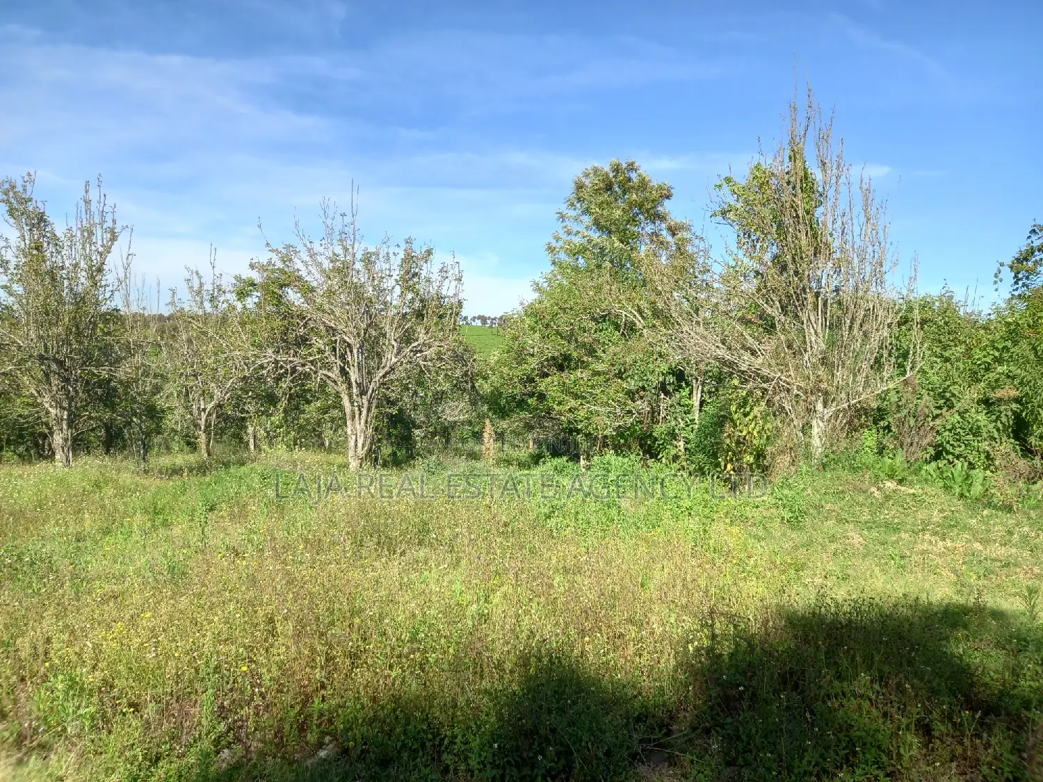 Tigoni Highlands Sale in Tigoni