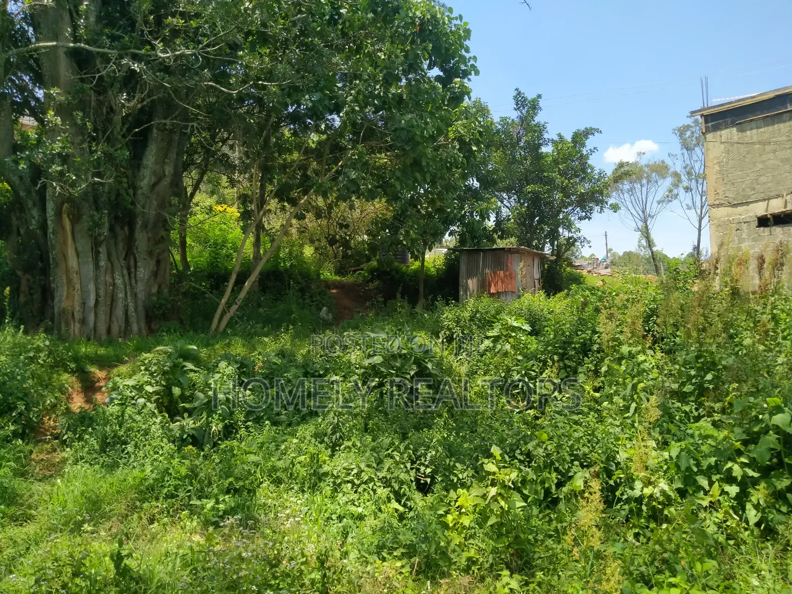 Residential Eighth Acre Red Soil Plot in Kerarapon, Ngong in Kerarapon