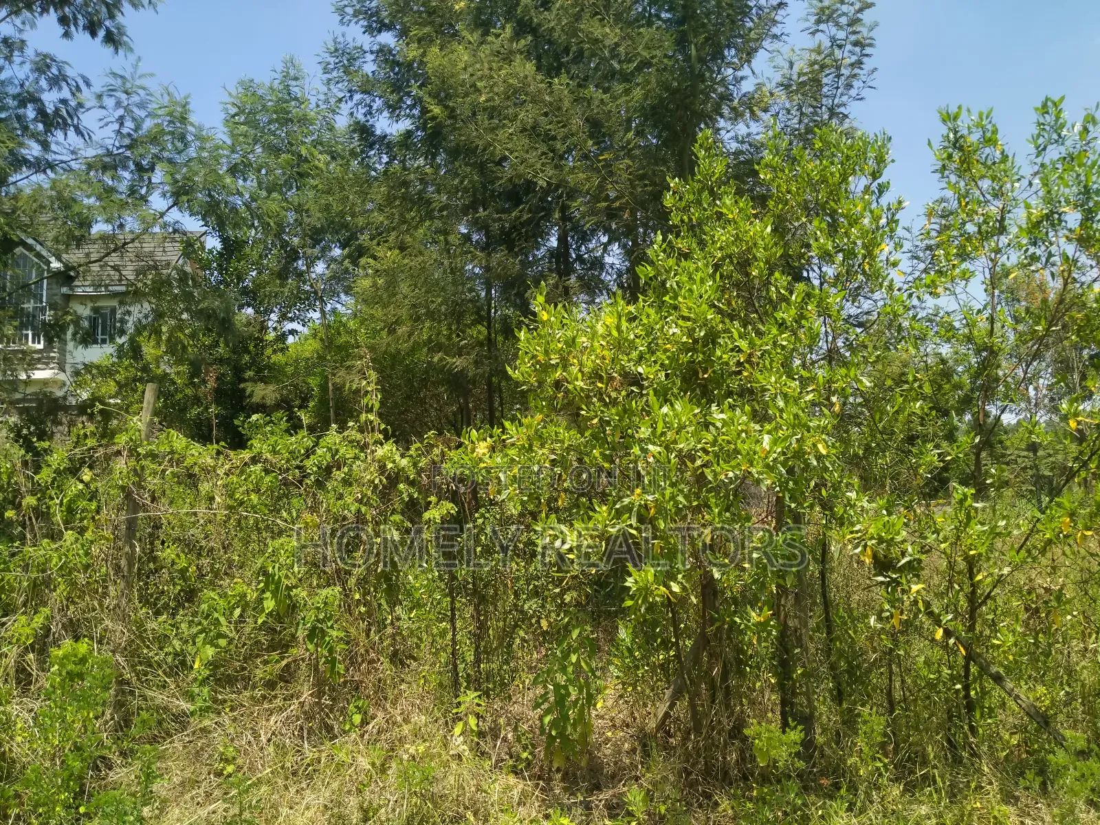Residential Eighth Acre Plot in Kerarapon, Ngong. Red Soil in Kerarapon