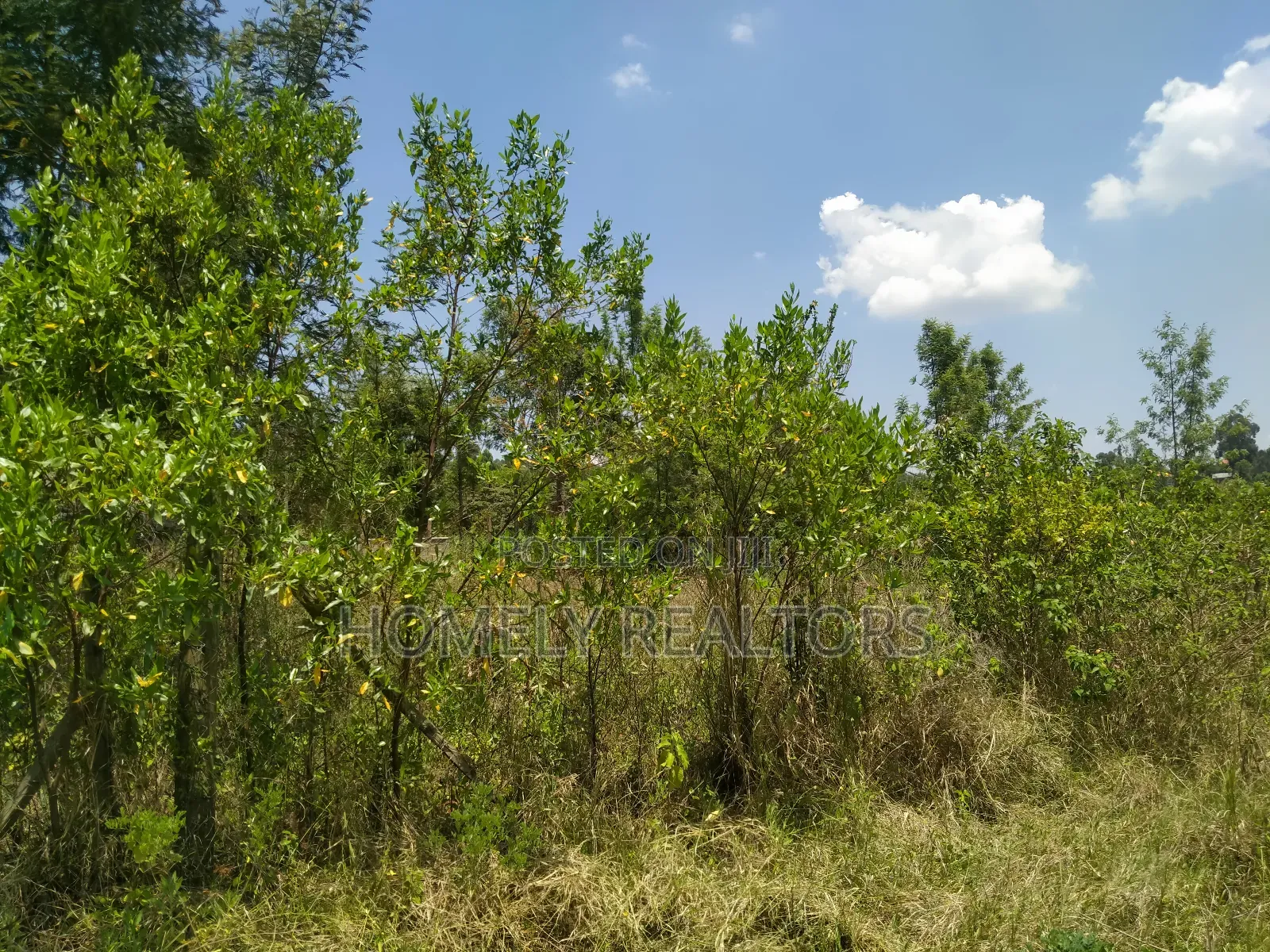 Residential Eighth Acre Plot in Kerarapon, Ngong. Red Soil in Kerarapon