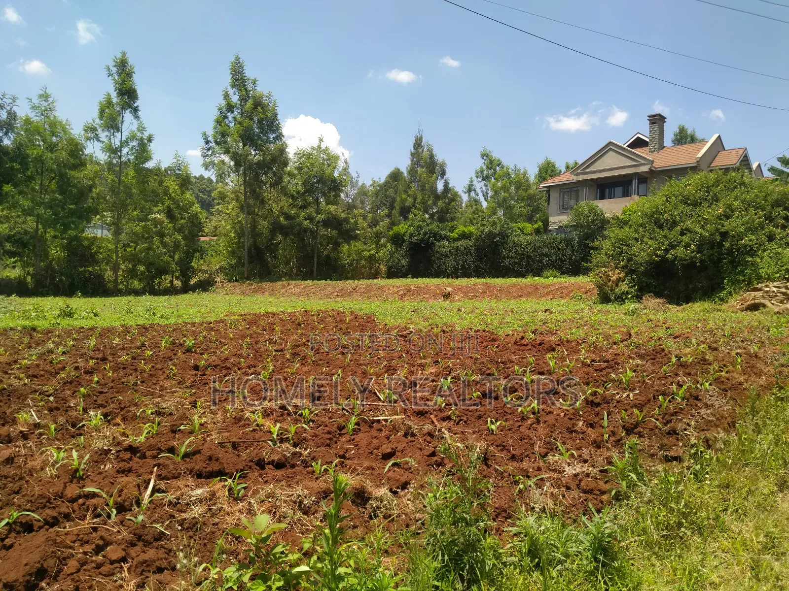 Residential Quarter Acre Red Soil Plot in Kerarapon, Ngong in Kerarapon