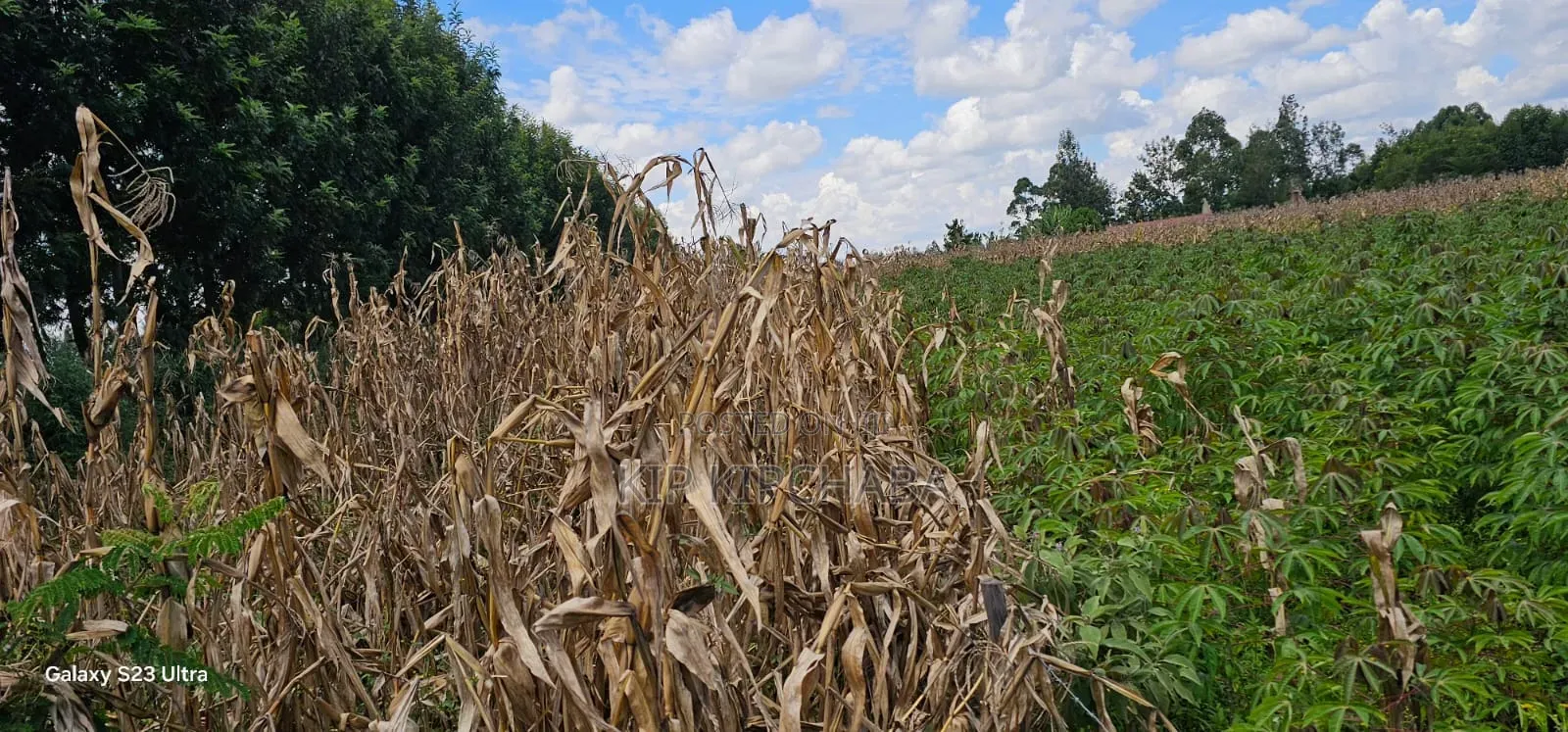 1⁄8 Plot for Sale in Soy Eldoret Off Navilas in Illula
