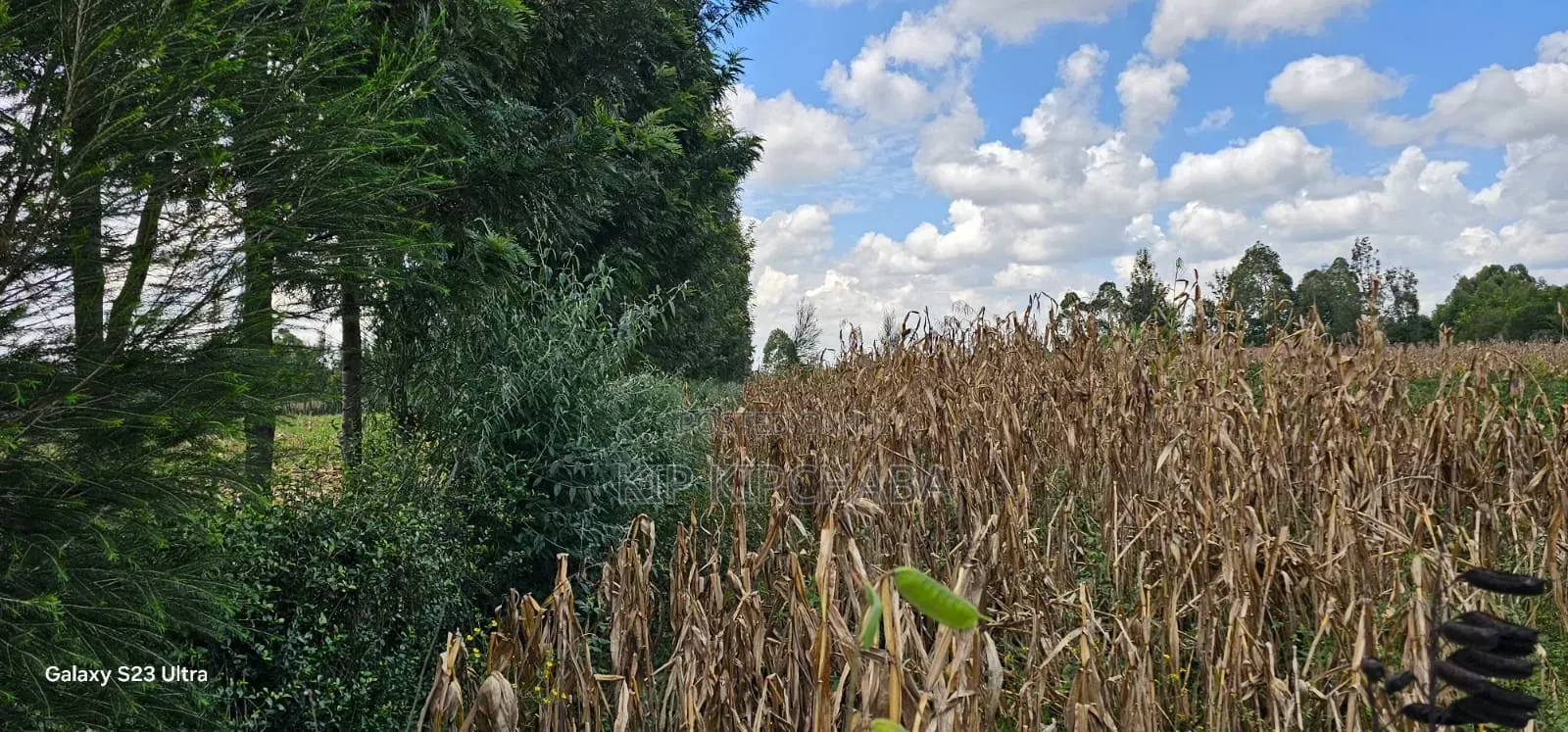 1⁄8 Plot for Sale in Soy Eldoret Off Navilas in Illula