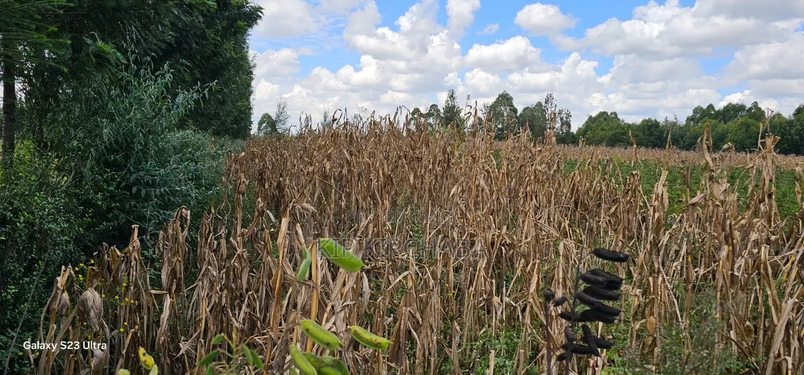 1⁄8 Plot for Sale in Soy Eldoret Off Navilas in Illula