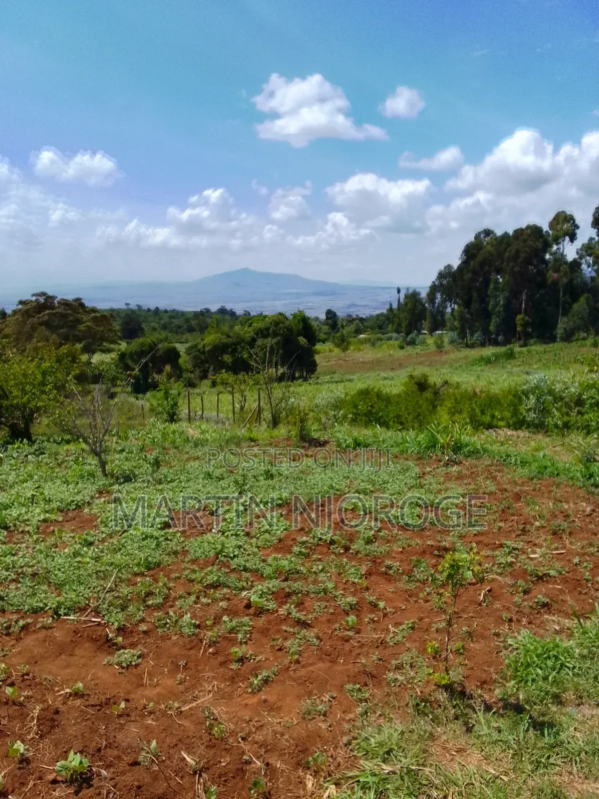 1 Acre Uplands, Gitithia in Lari/Kirenga