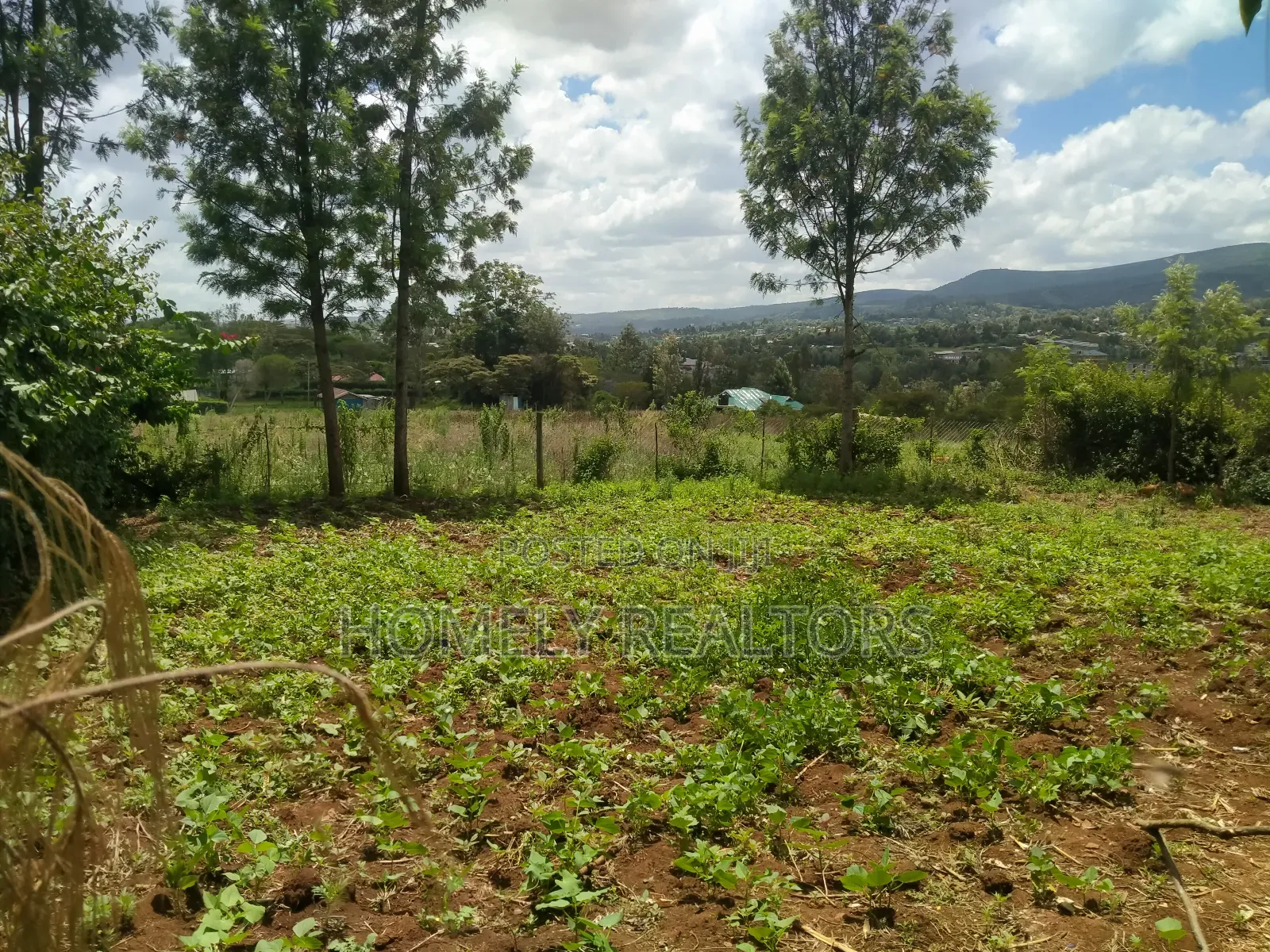 Residential 8th-Acre Red Soil Plot in Ngong Matasia Oloika in Matasia