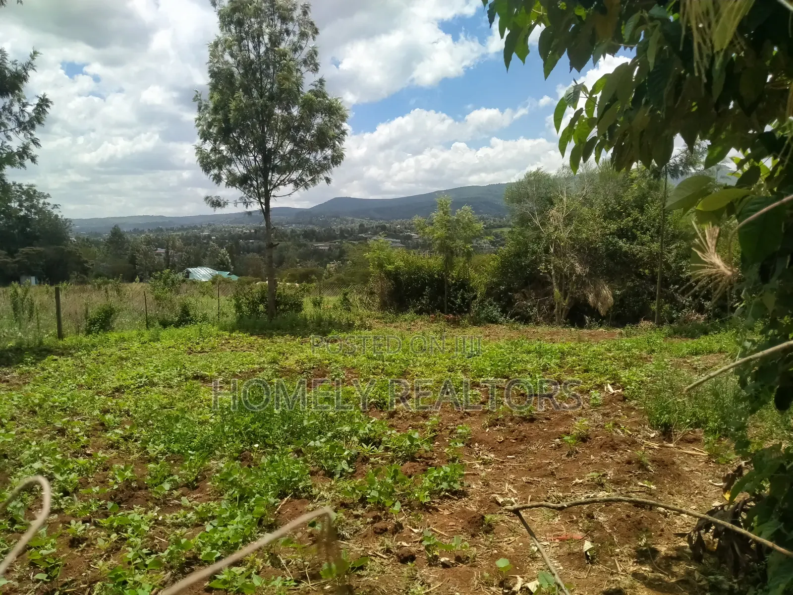 Residential 8th-Acre Red Soil Plot in Ngong Matasia Oloika in Matasia