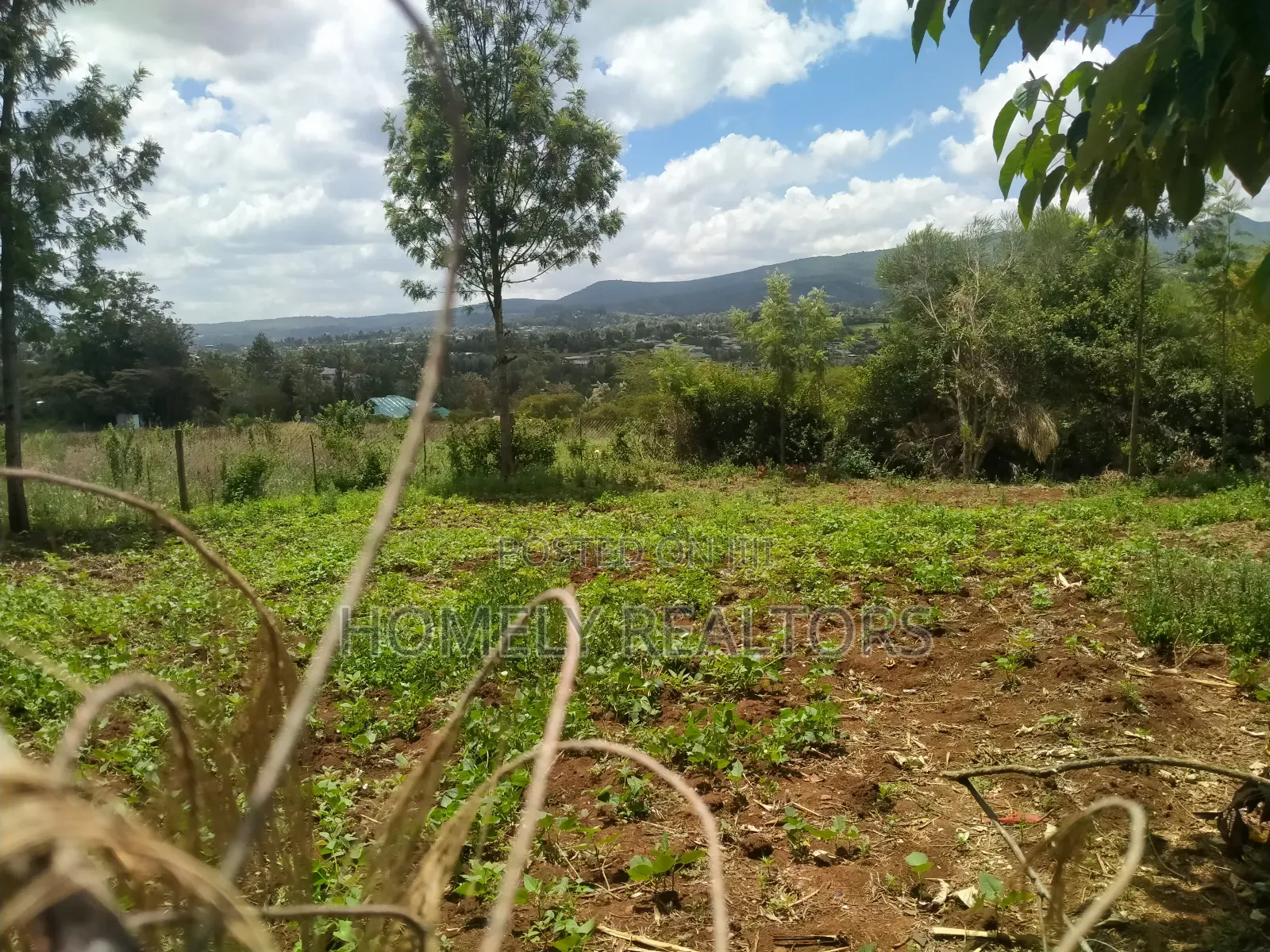 Residential 8th-Acre Red Soil Plot in Ngong Matasia Oloika in Matasia