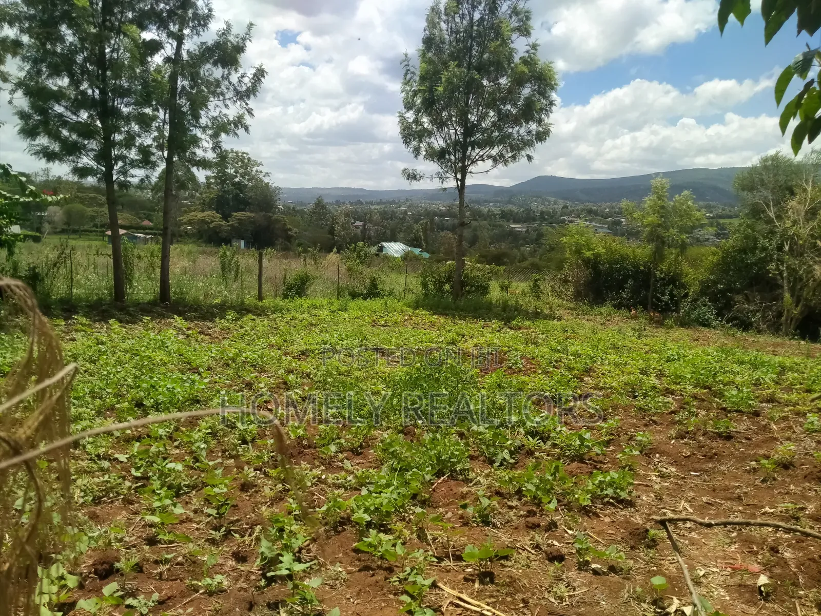 Residential 8th-Acre Red Soil Plot in Ngong Matasia Oloika in Matasia