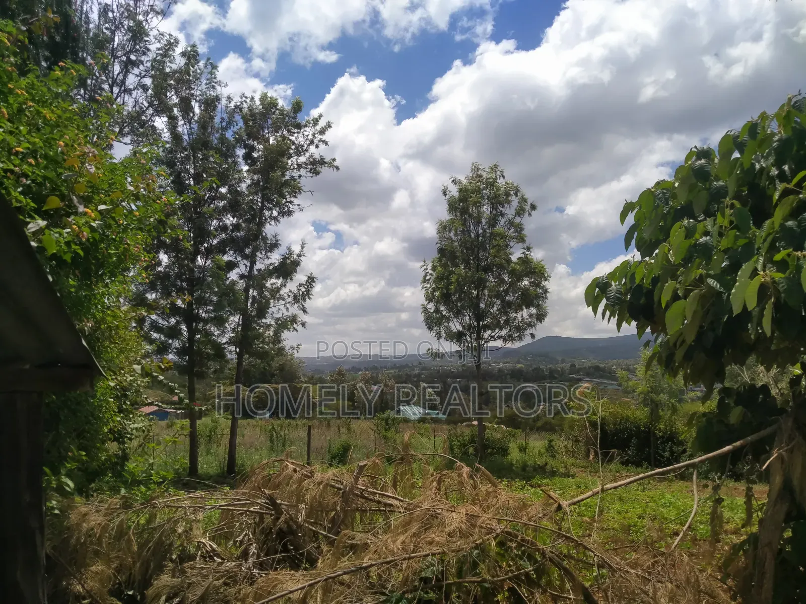 Residential 8th-Acre Red Soil Plot in Ngong Matasia Oloika in Matasia