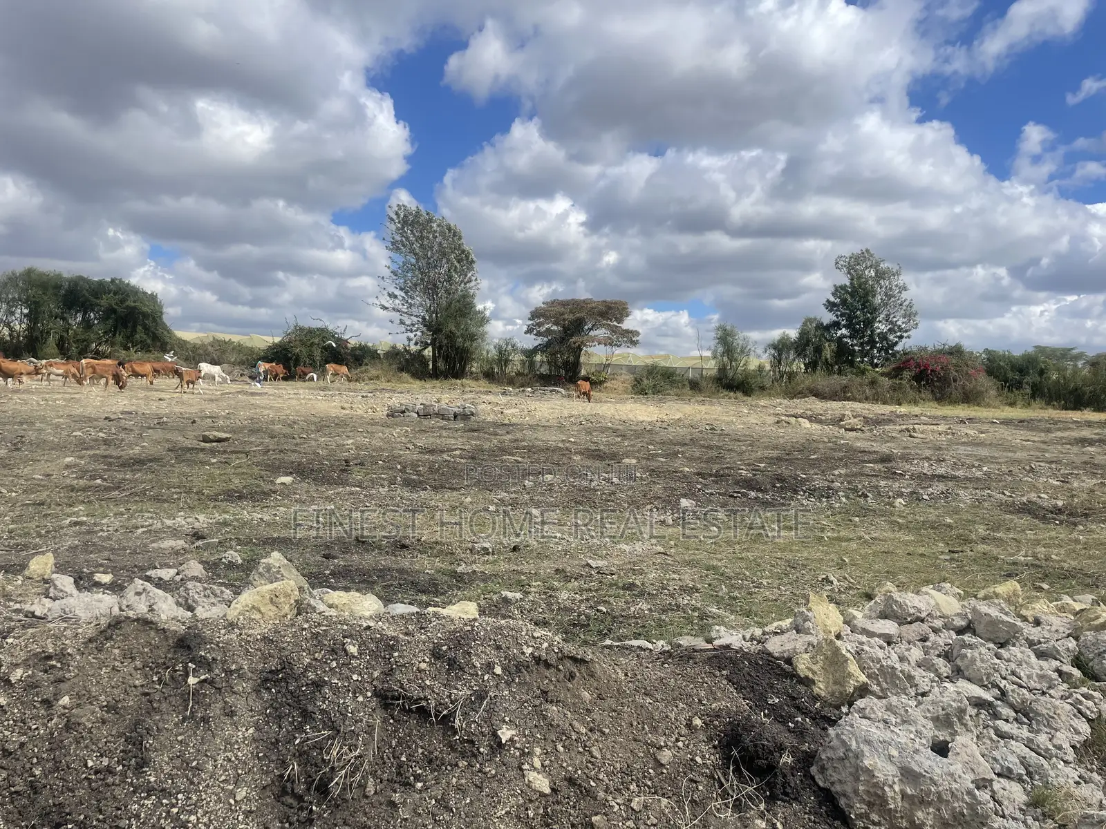 Plot for Sale in Kitengela