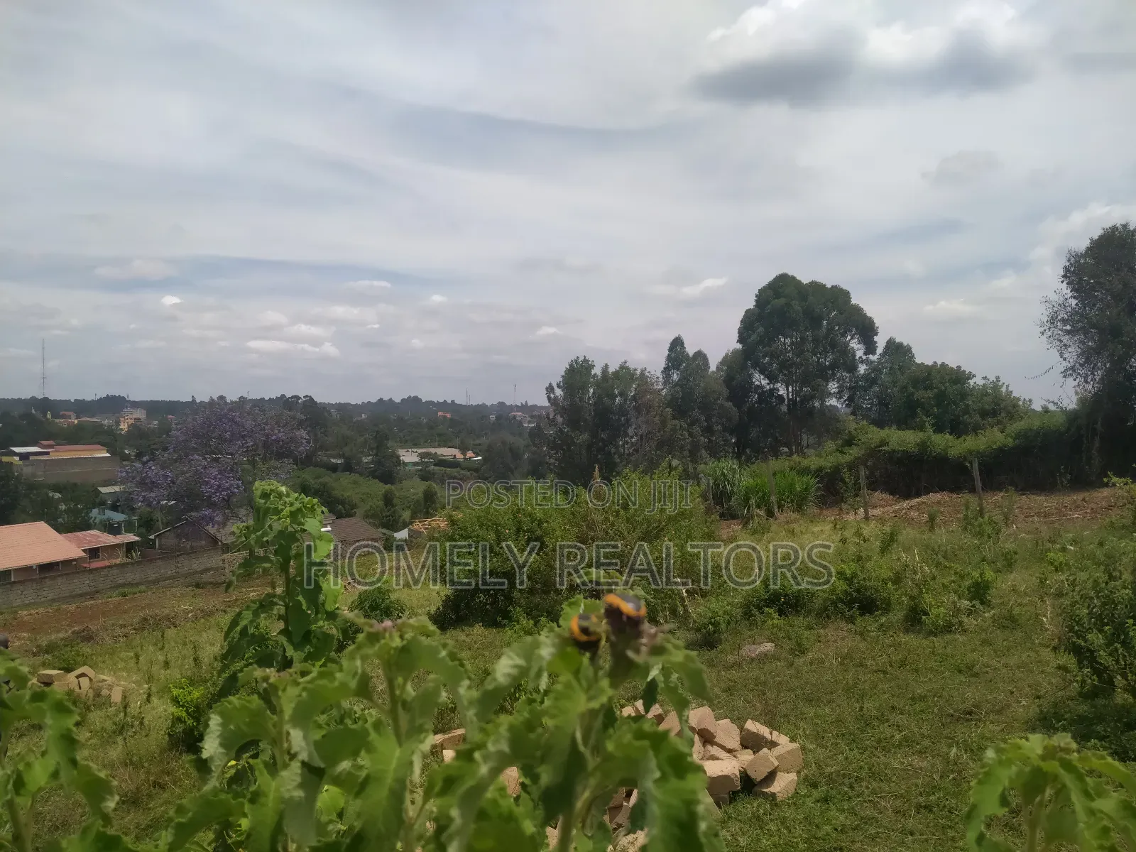 Eighth Acre Plot in Ngong, Vet. Has a Nice View and Red Soil in Ngong