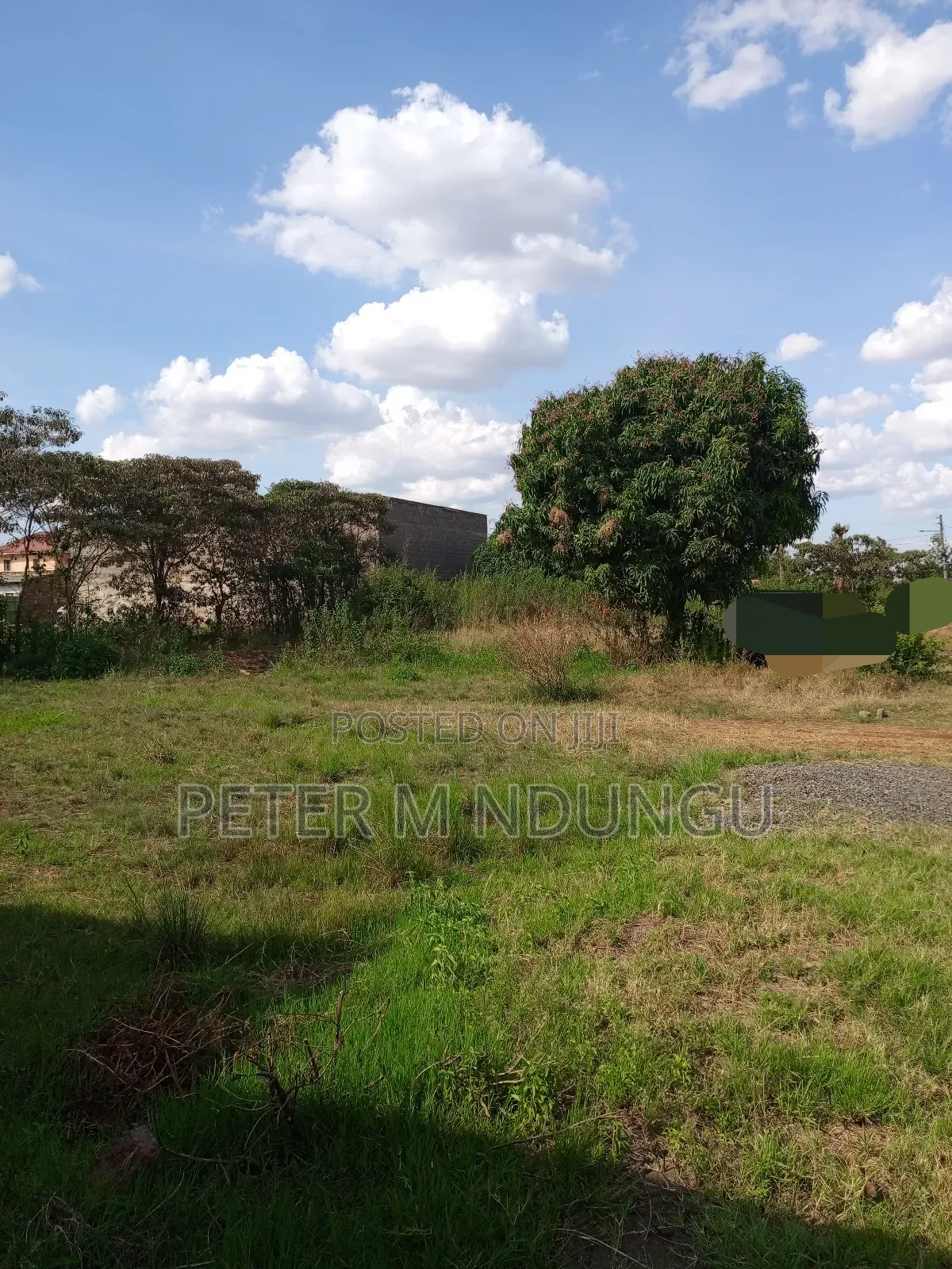 Prime Land on Sale 1/2 Acre, Greenspot Kamakis in Ruiru