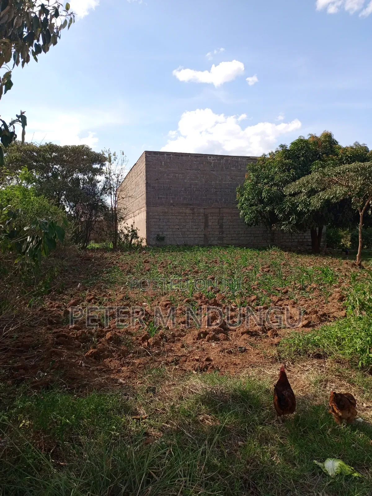 Prime Land on Sale 1/2 Acre, Greenspot Kamakis in Ruiru