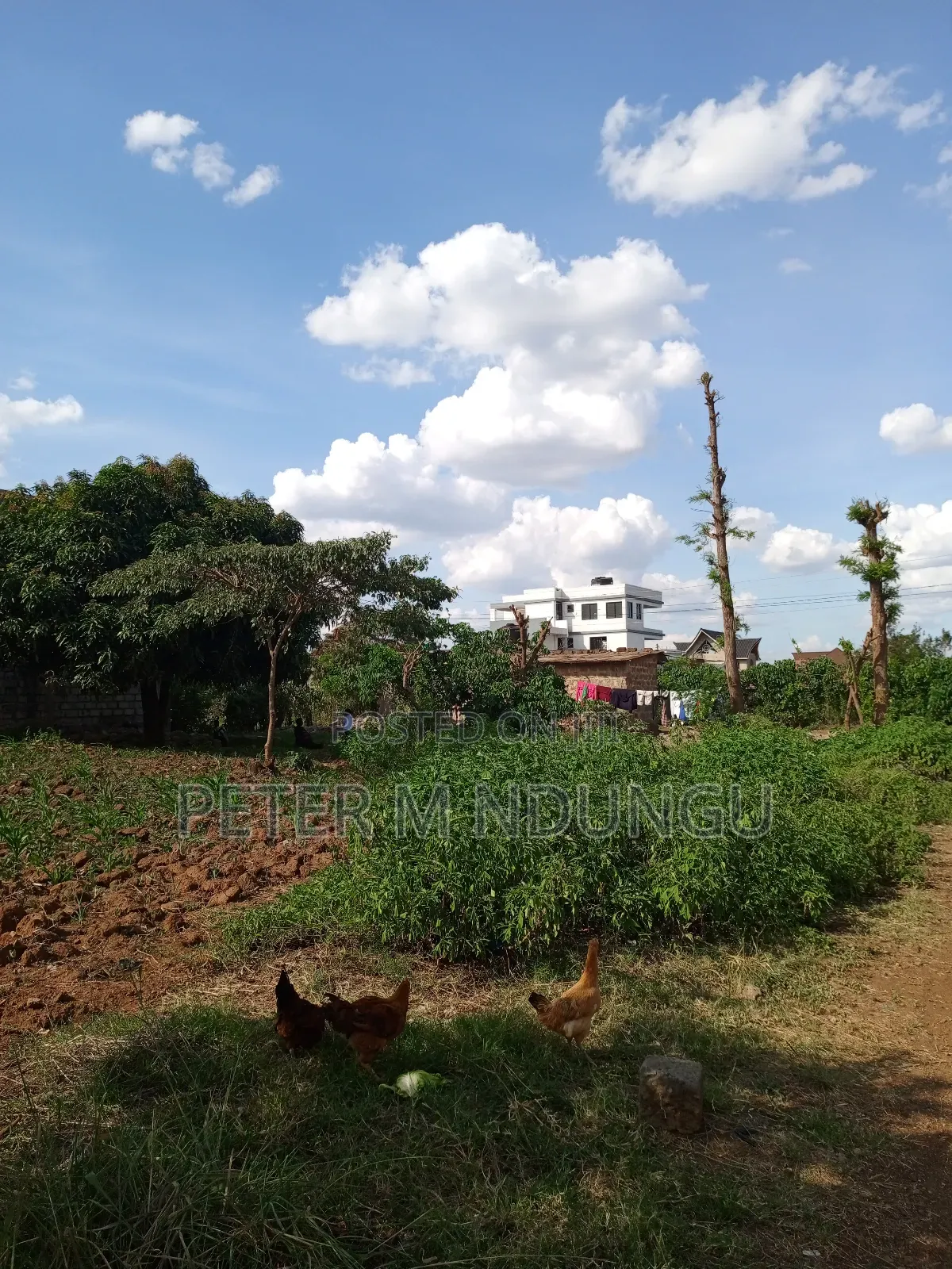 Prime Land on Sale 1/2 Acre, Greenspot Kamakis in Ruiru