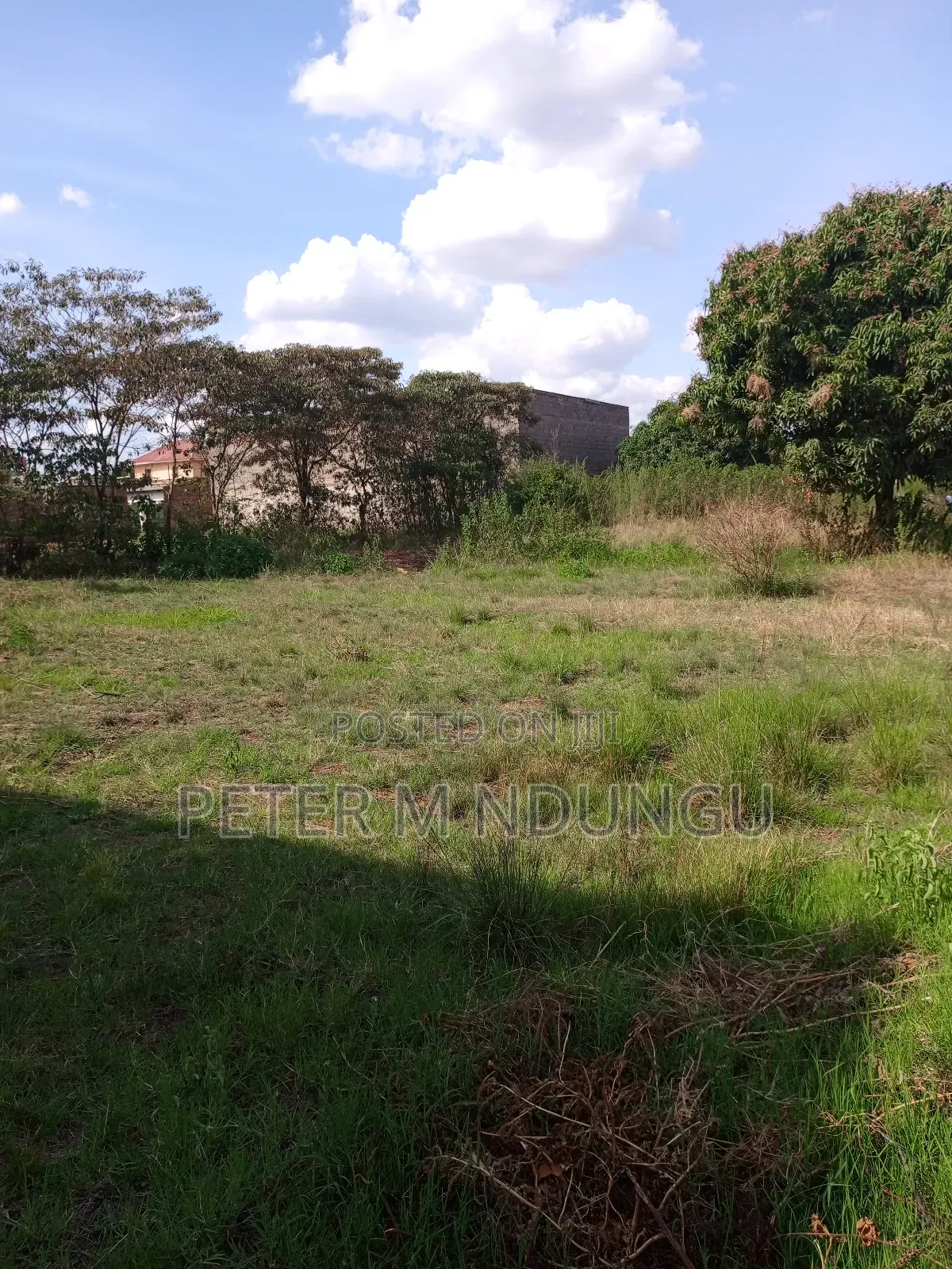Prime Land on Sale 1/2 Acre, Greenspot Kamakis in Ruiru
