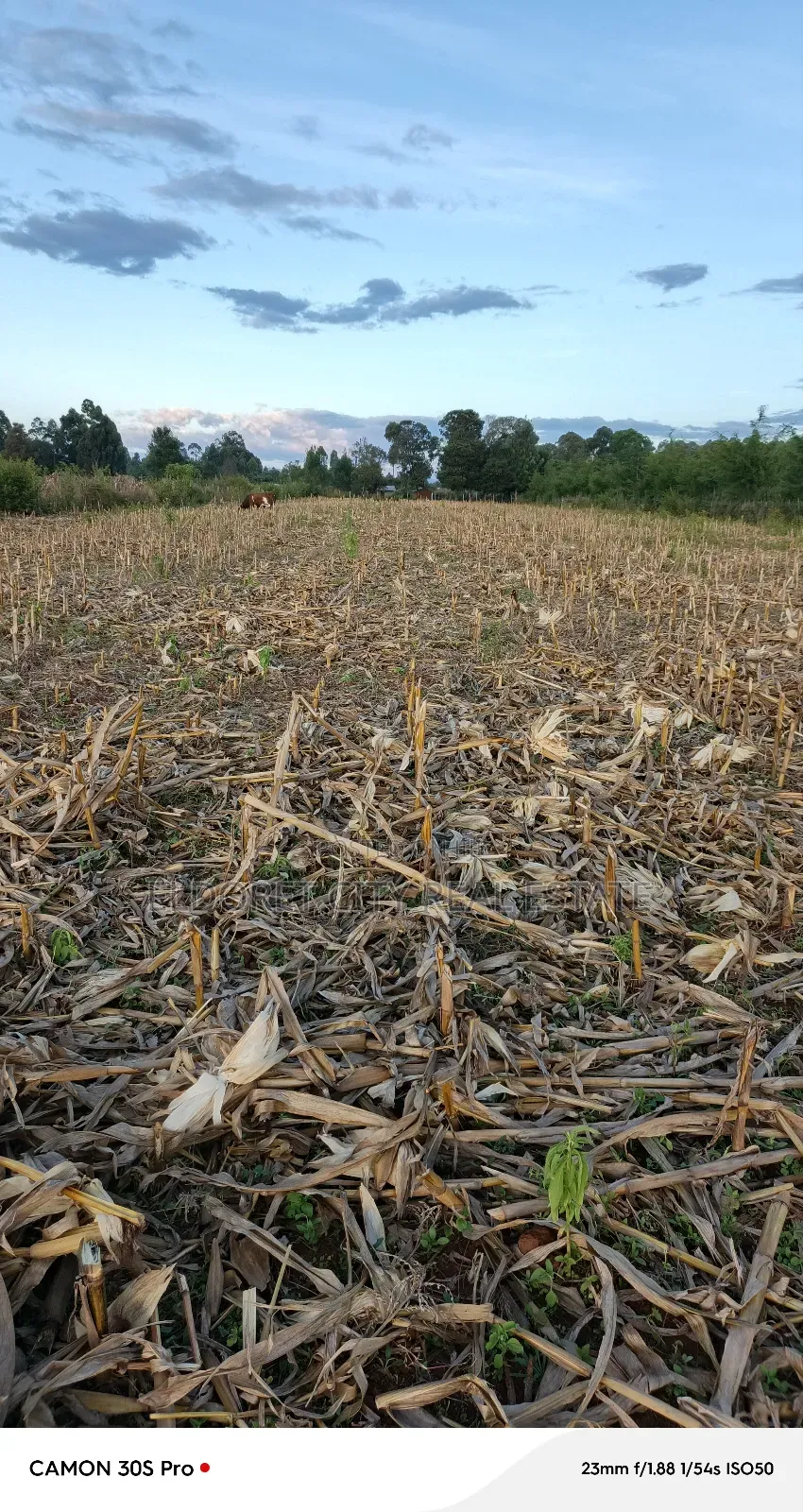 2 Acres Kabenes Touching Tarmac in Eldoret West