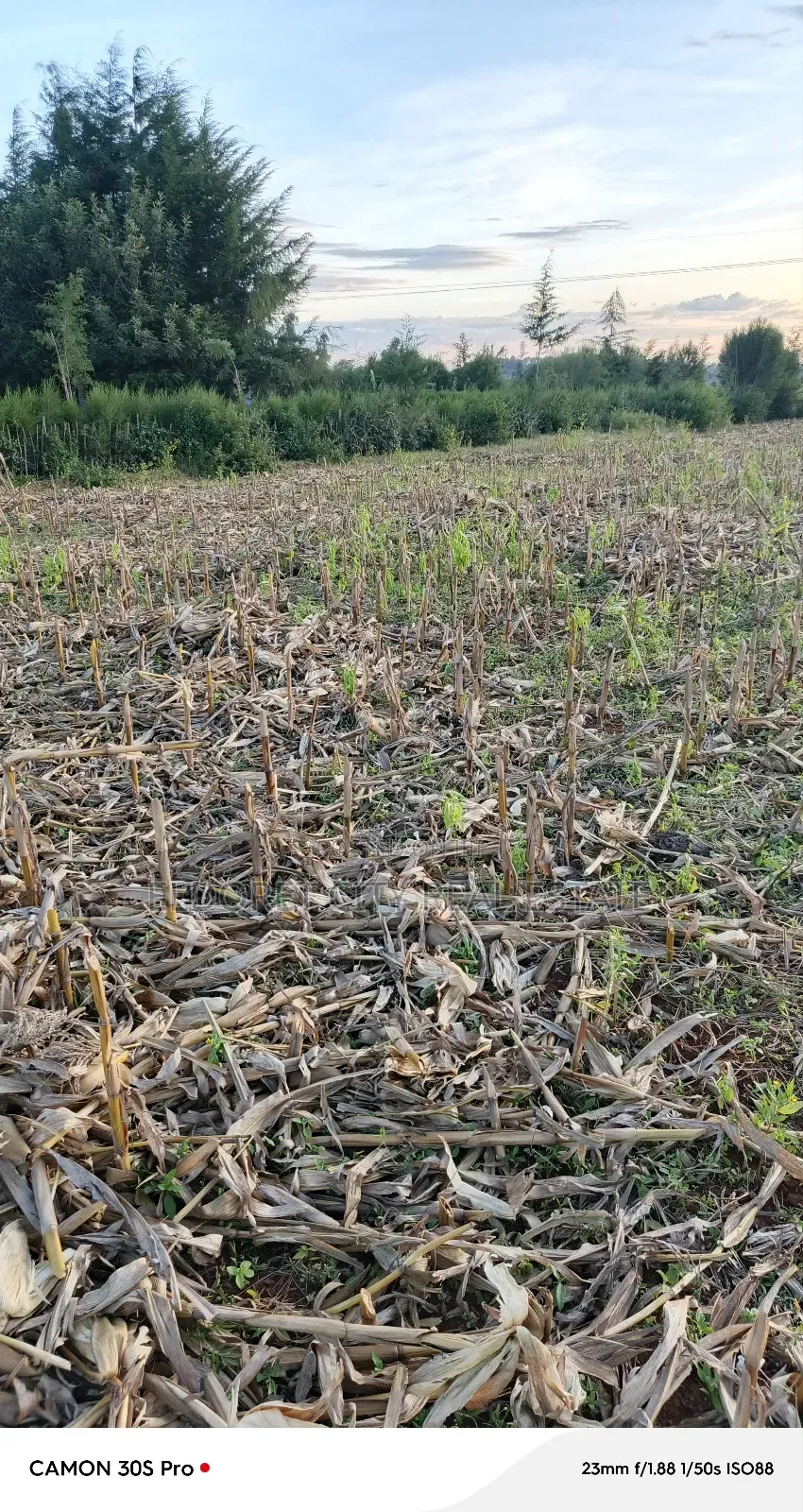 2 Acres Kabenes Touching Tarmac in Eldoret West