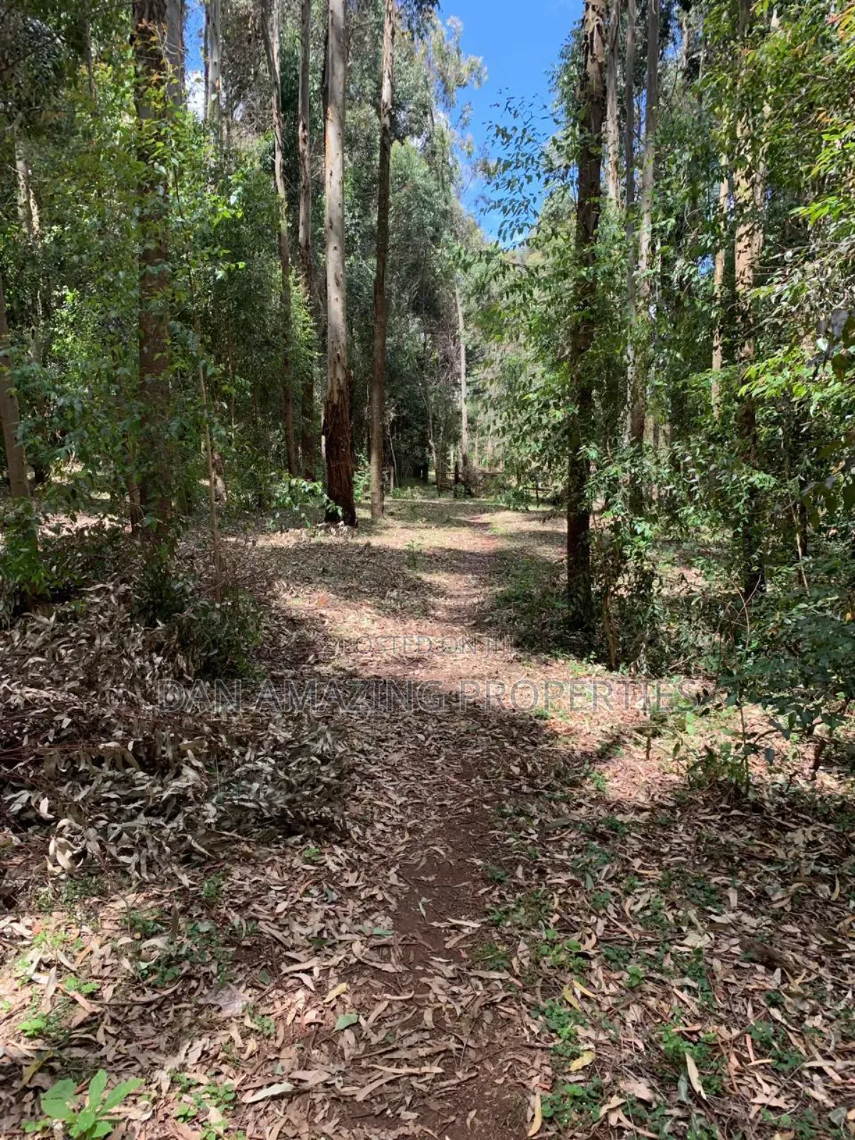 8.5 Acres in Nyandarua Matindiri Gwakiongo for Sale in Mirangine