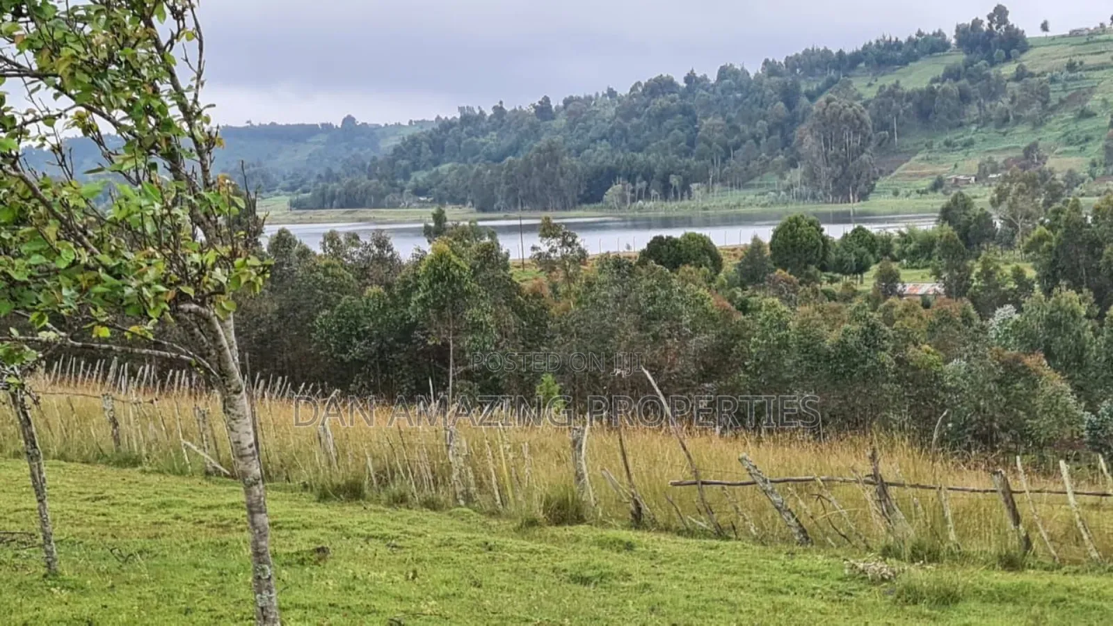 8.5 Acres in Nyandarua Matindiri Gwakiongo for Sale in Mirangine