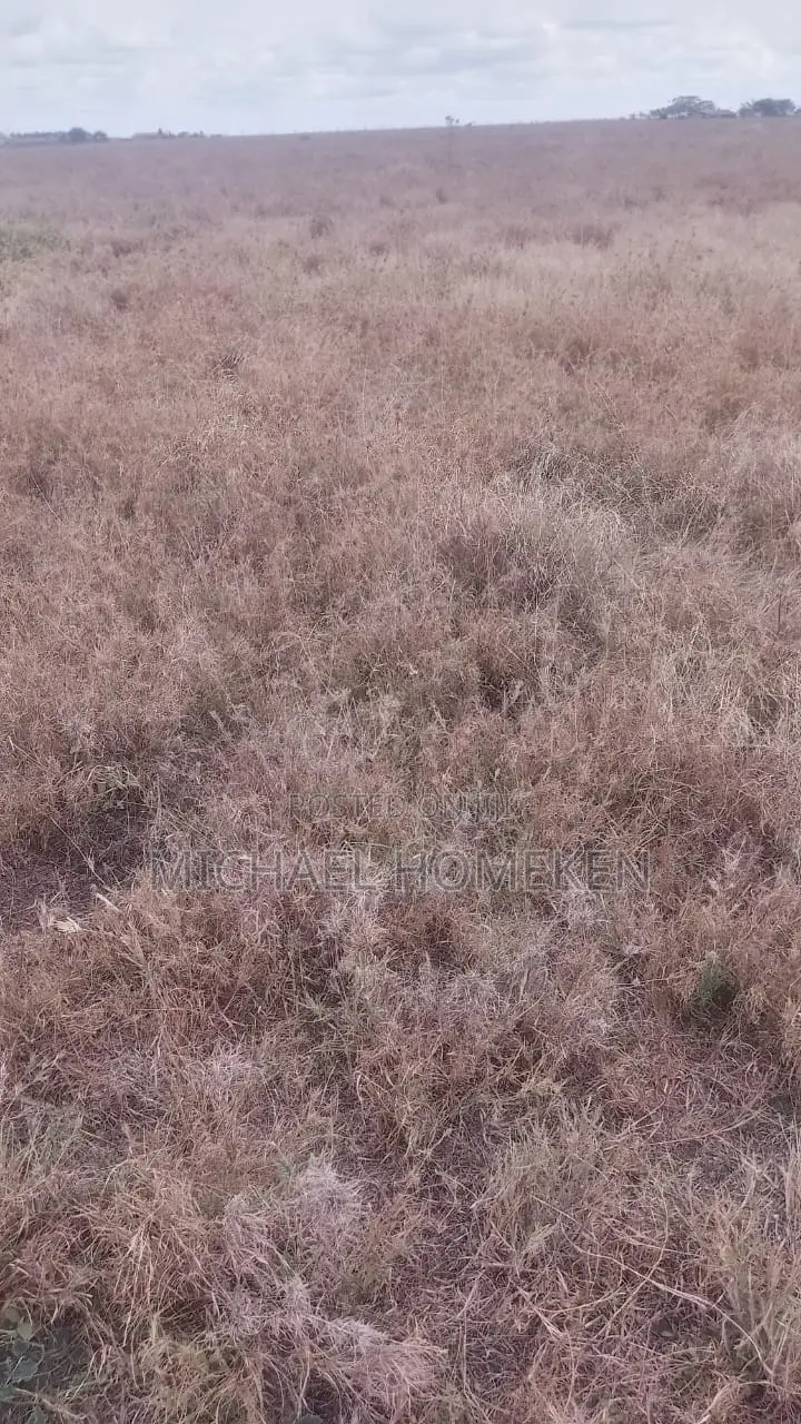 100 Acres for Sale in Isinya in Isinya