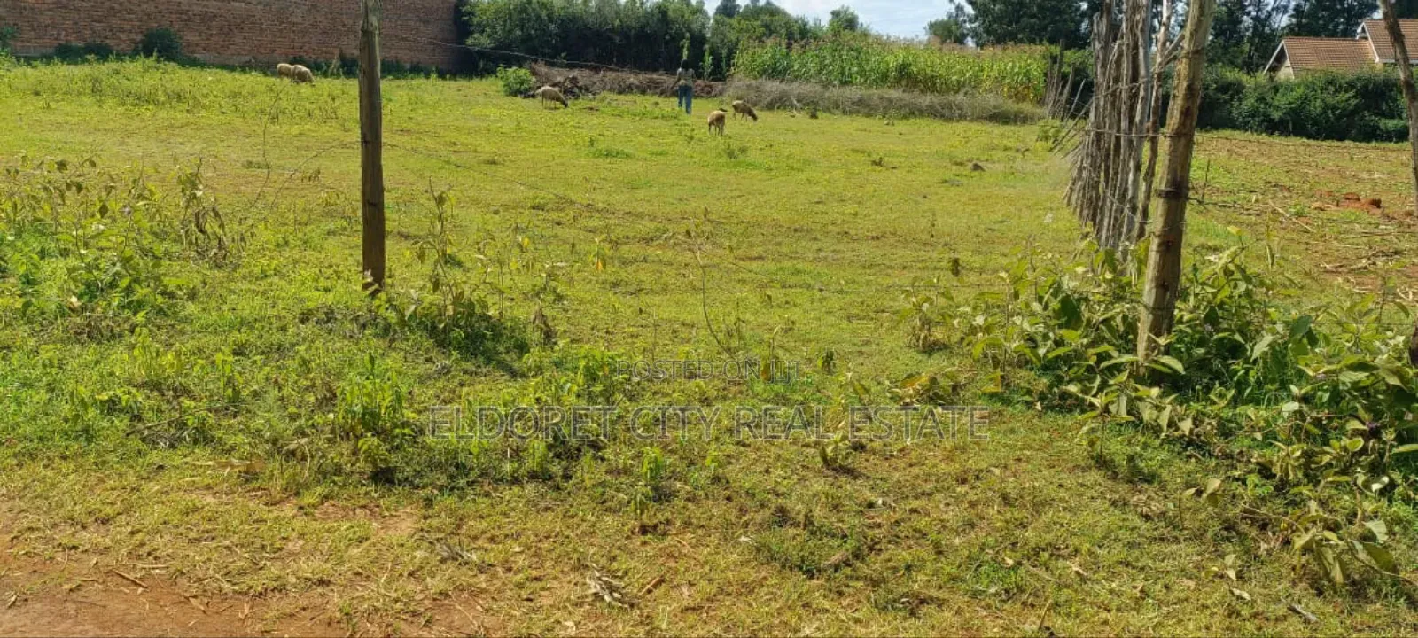 1/4 Plot Kimumu Ideal for Rental. in Eldoret West