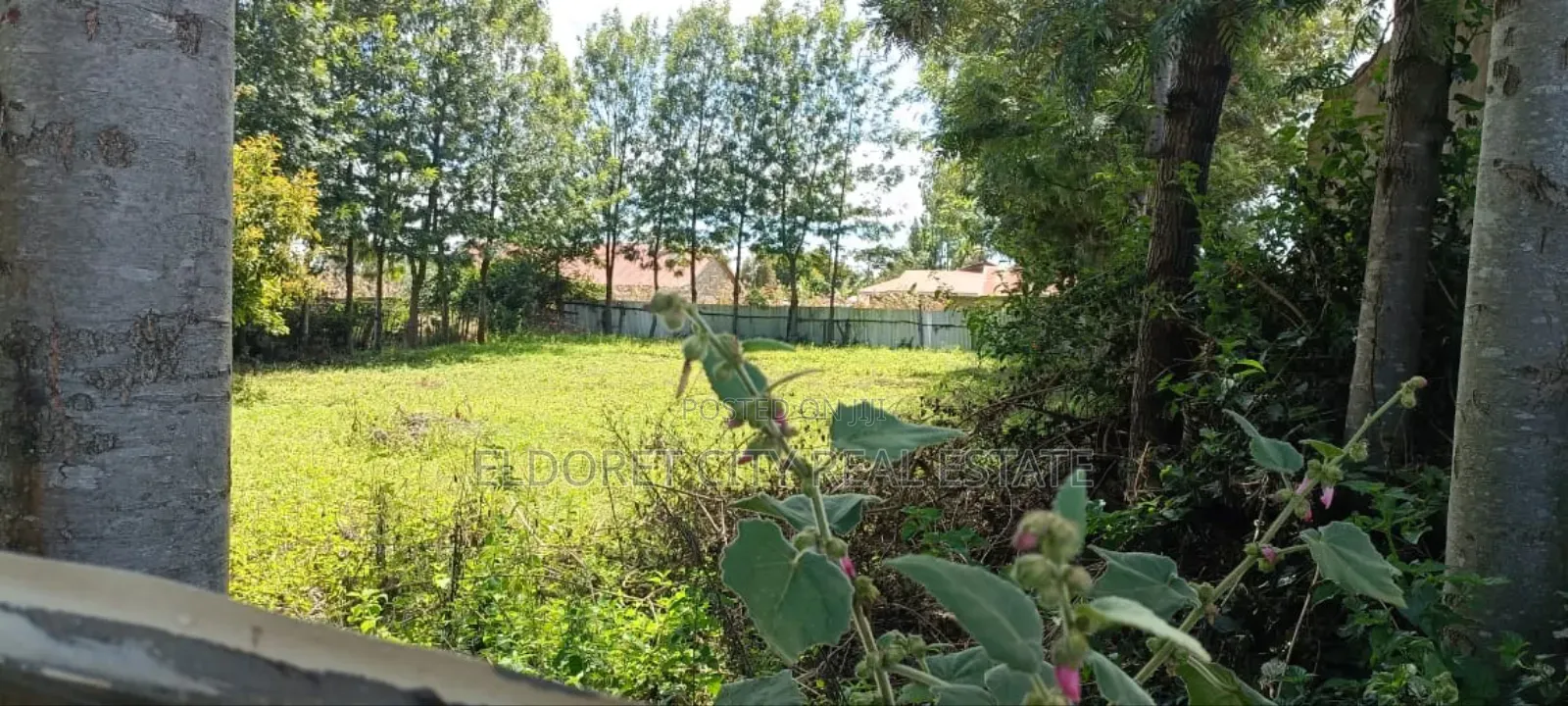 1/4 Plot Kimumu With Title Ideal for Rental. in Eldoret West