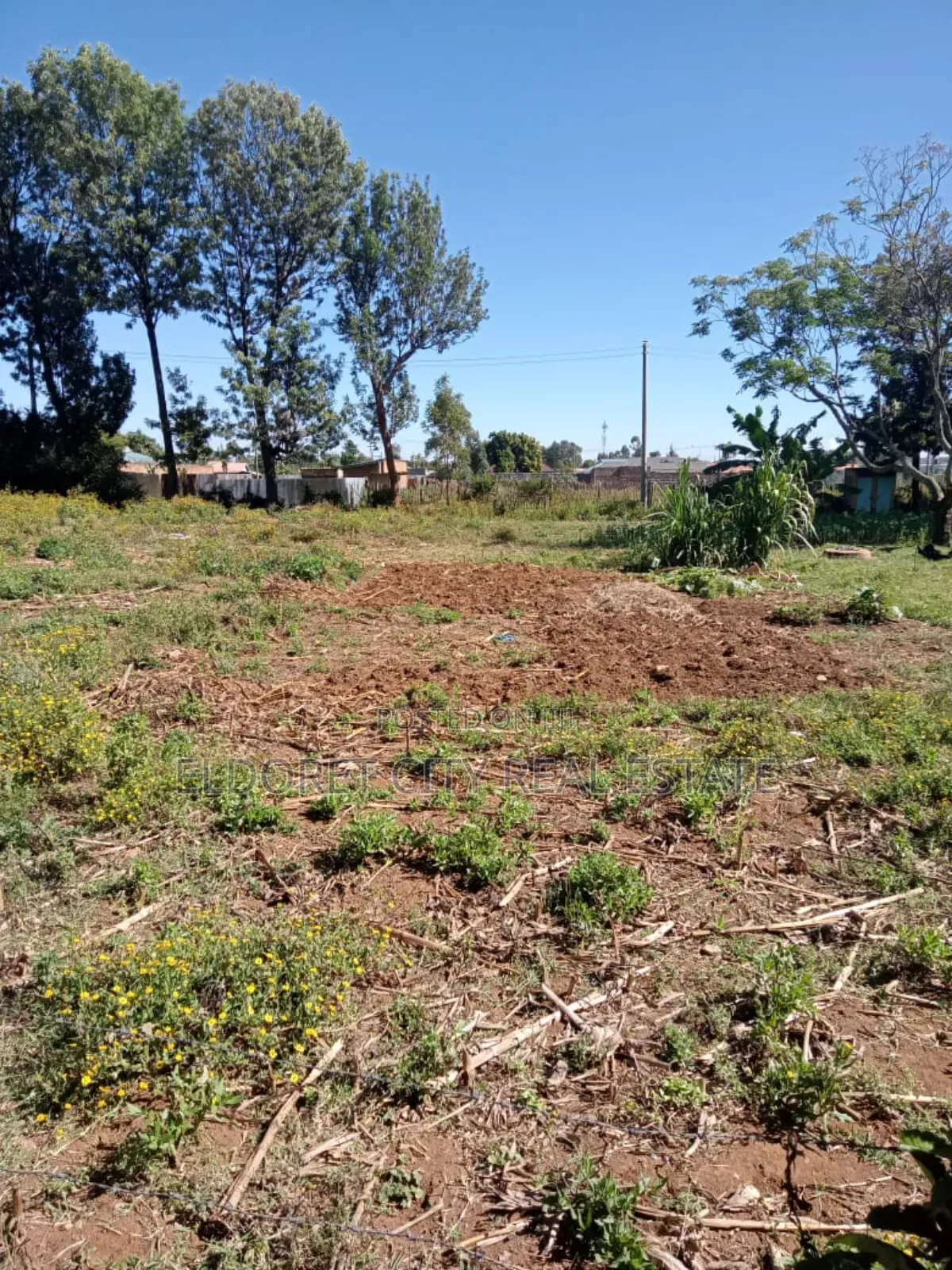 1/4 Plot Kimumu Betterfarm With Title in Eldoret West