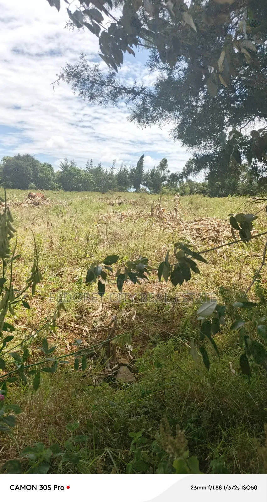 2 Acres Lemook Kapseret Ideal for Residential in Eldoret West