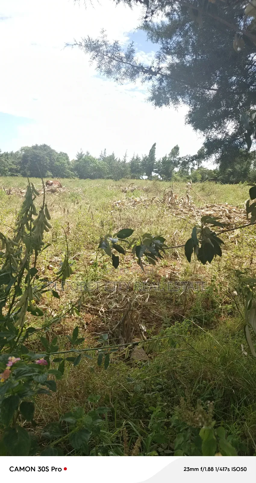 2 Acres Lemook Kapseret Ideal for Residential in Eldoret West