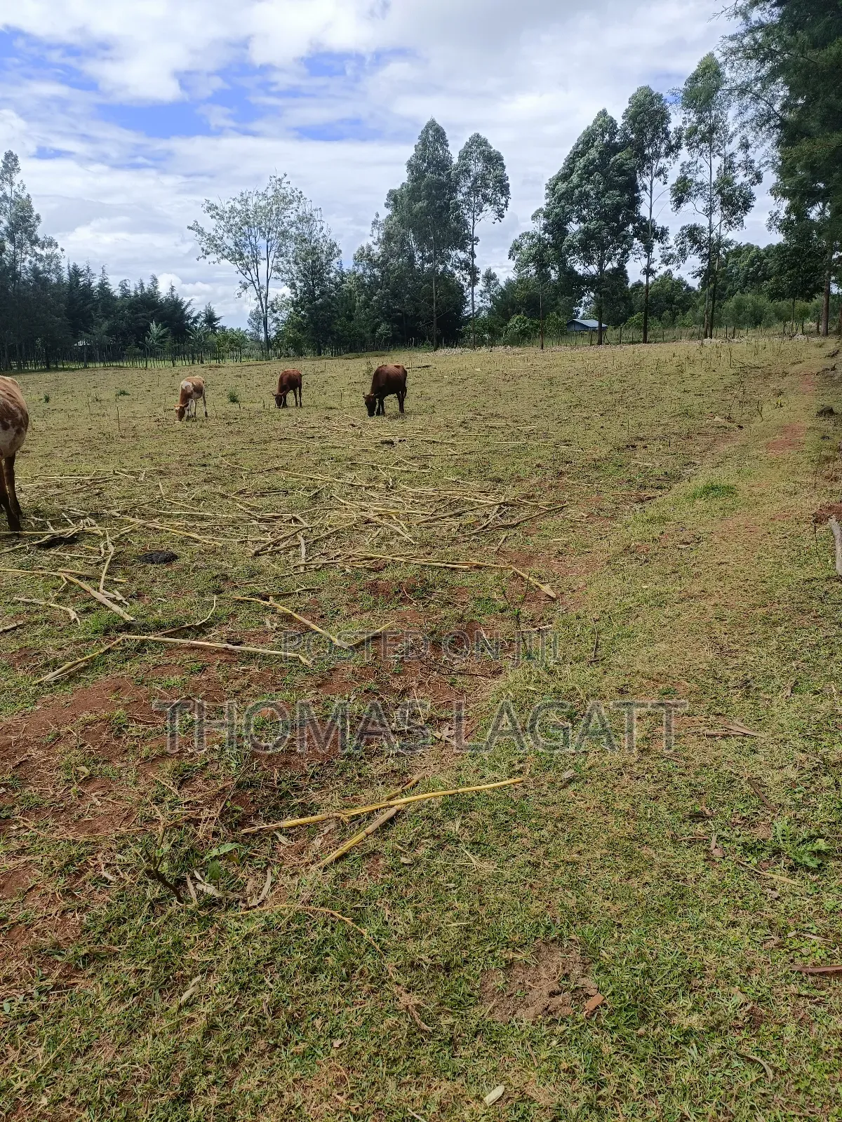 Eldoret 1⁄2 Acre Piece of Land on Sale at Eldoret OUTSPAN in Eldoret CBD