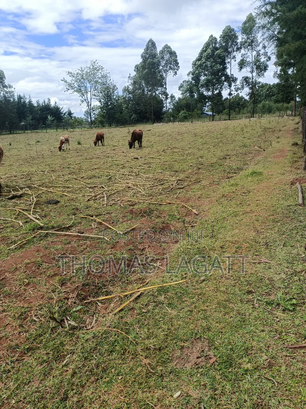 Eldoret 1⁄2 Acre Piece of Land on Sale at Eldoret OUTSPAN in Eldoret CBD