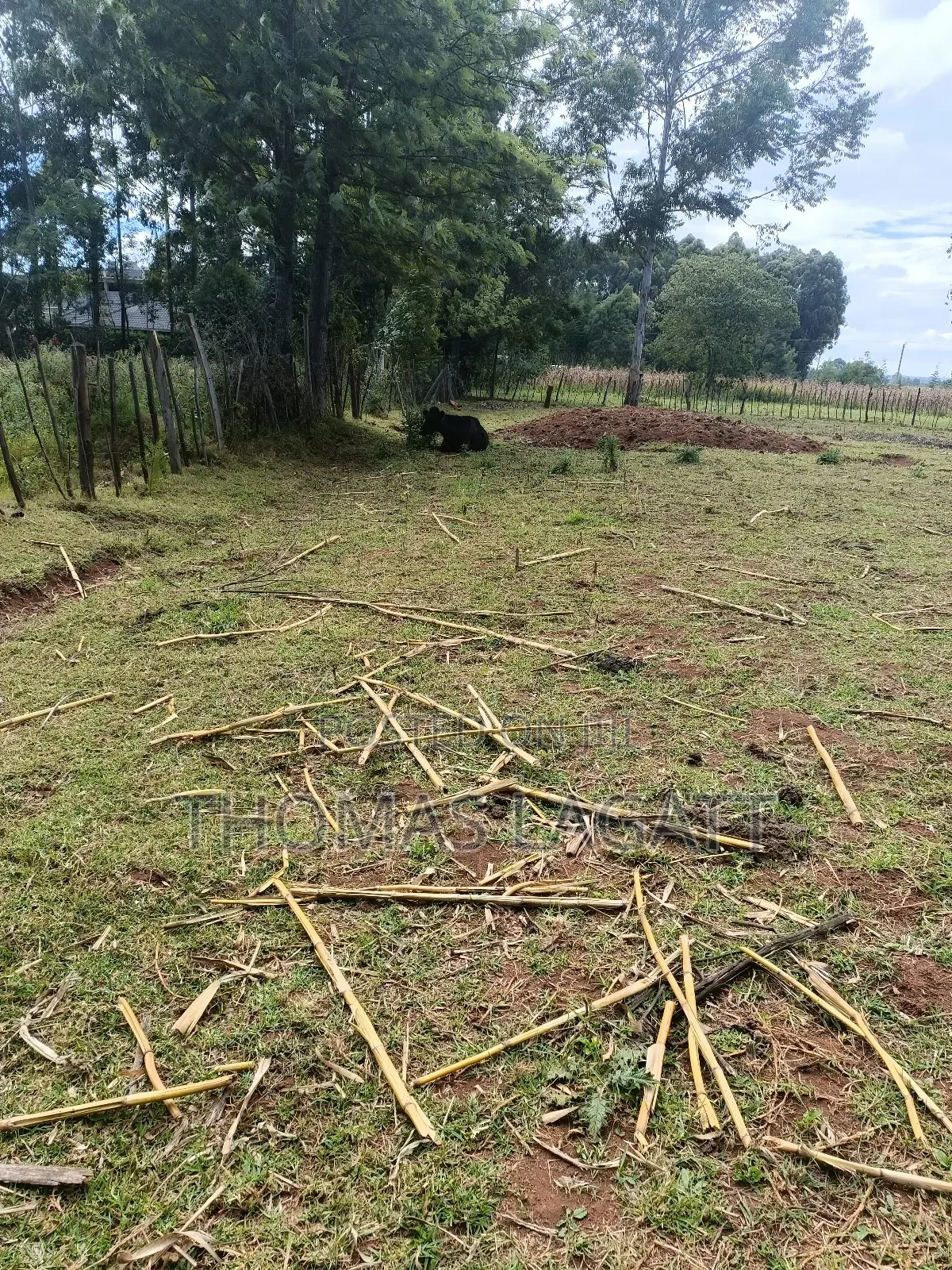 Eldoret 1⁄2 Acre Piece of Land on Sale at Eldoret OUTSPAN in Eldoret CBD