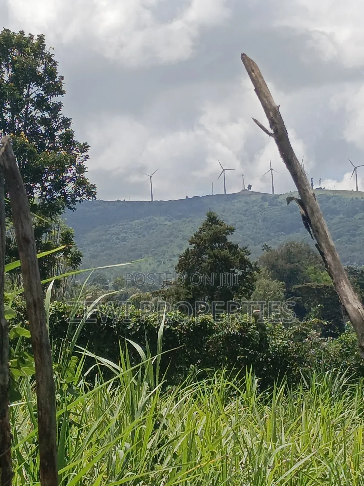 Half Acre Upper Matasia in Matasia