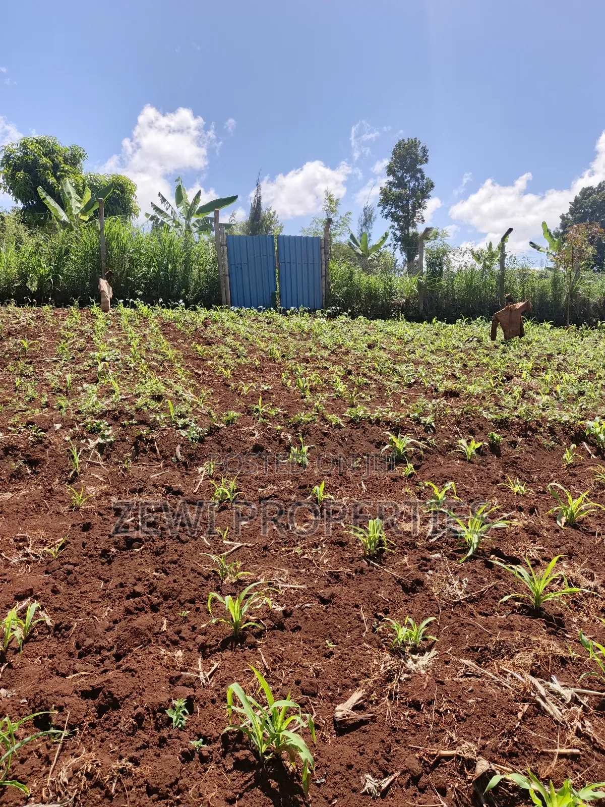 Half Acre Upper Matasia in Matasia