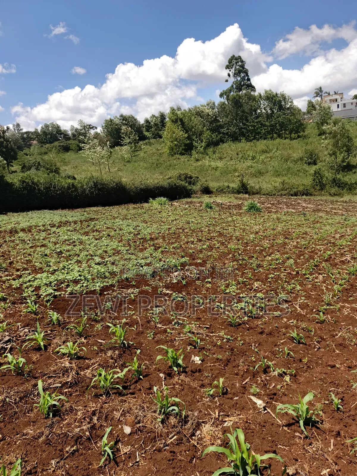 Half Acre Upper Matasia in Matasia