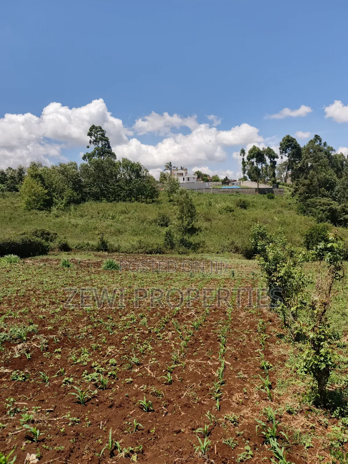 Half Acre Upper Matasia in Matasia