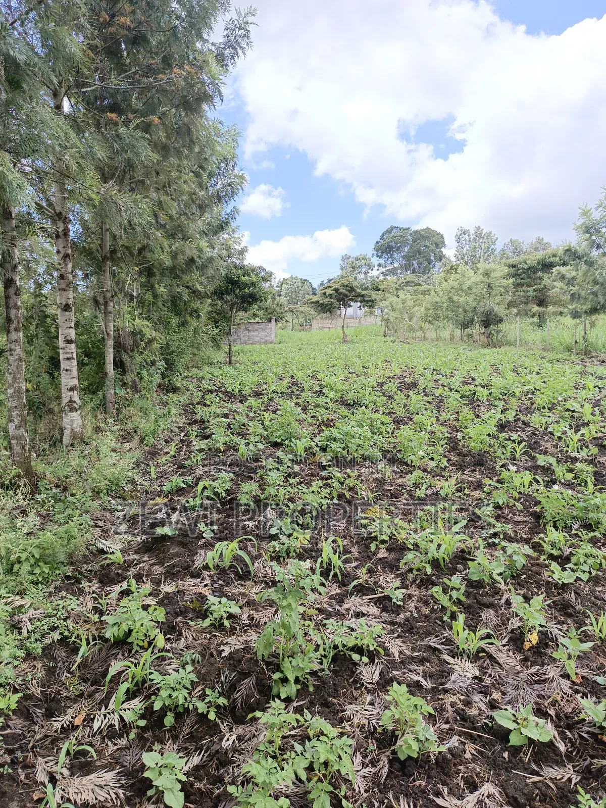 1/8 Olkeri Matasia in Ol Keri