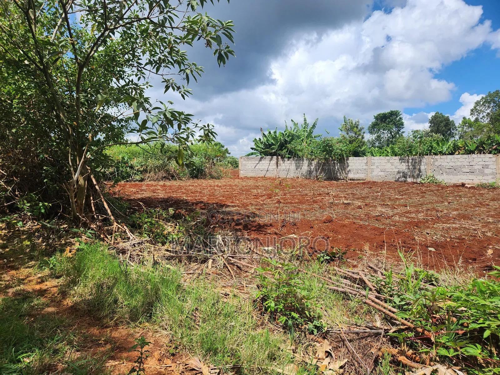 Westwood ( Karangaita)Estate in Thika