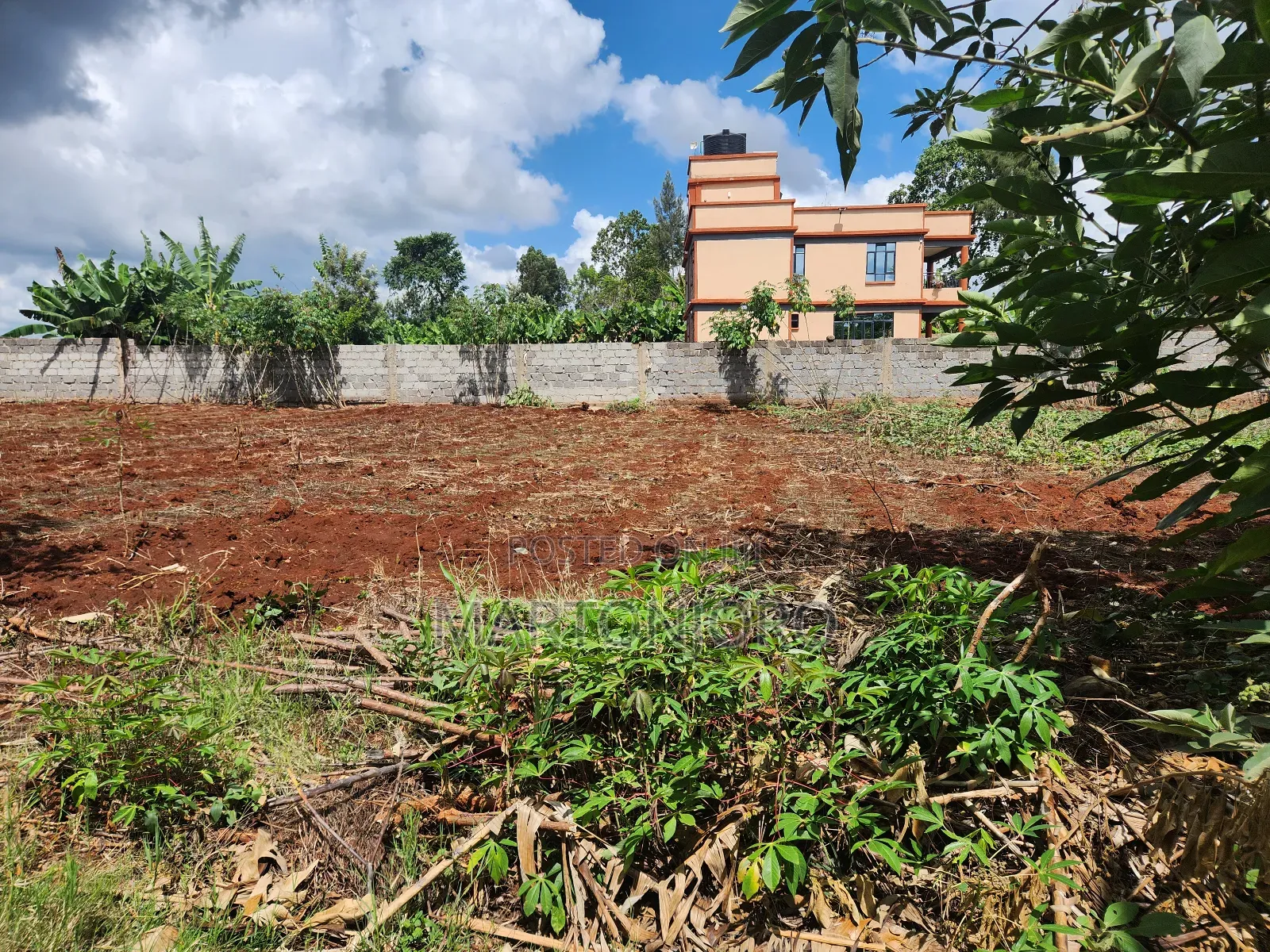 Westwood ( Karangaita)Estate in Thika