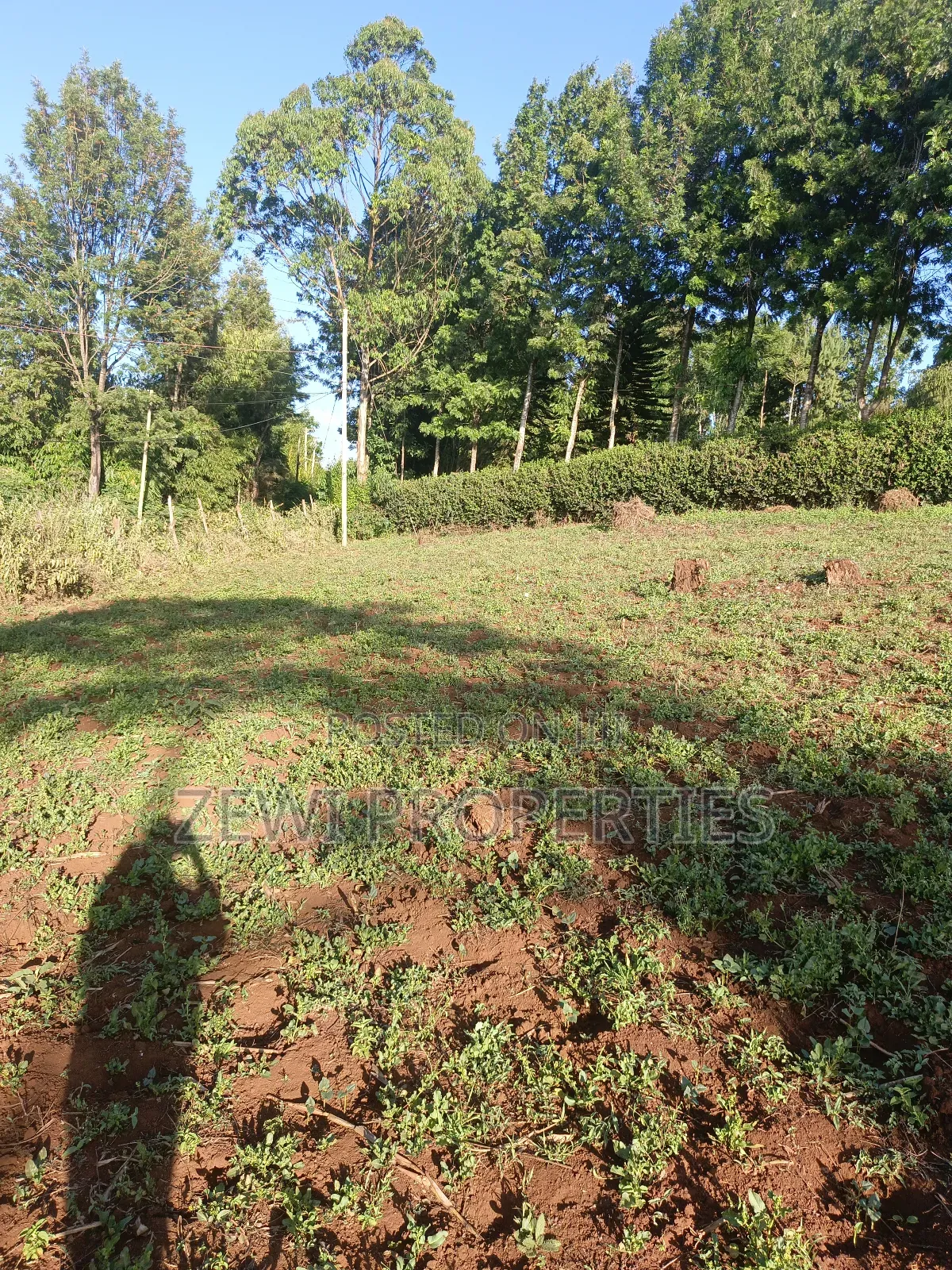 Half Acre Kibiku in Kibiku