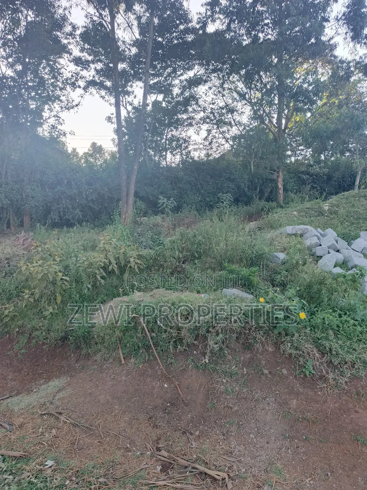 Quarter Acre Kibiku in Kibiku