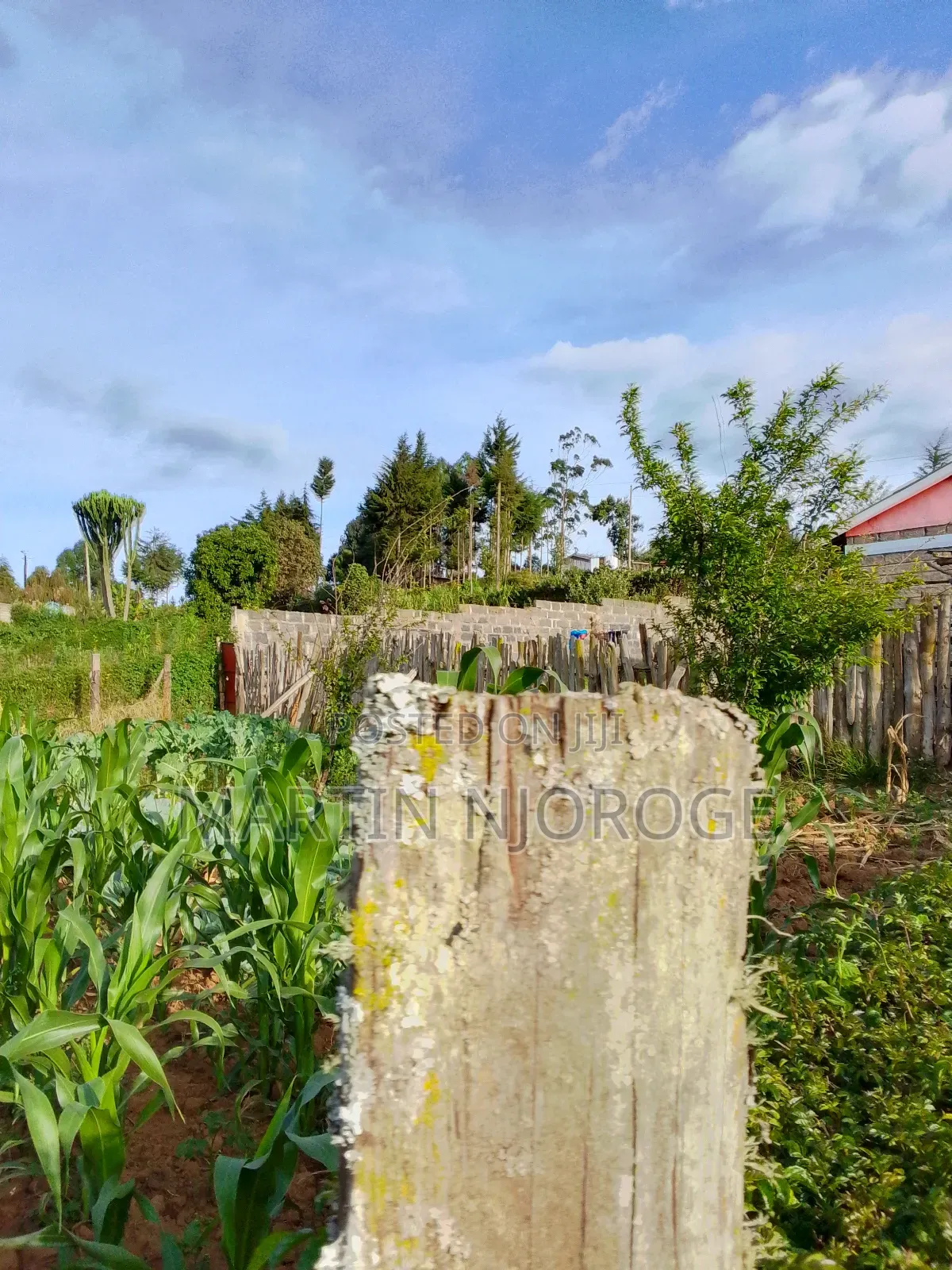 1⁄2 Acre Murengeti in Bibirioni