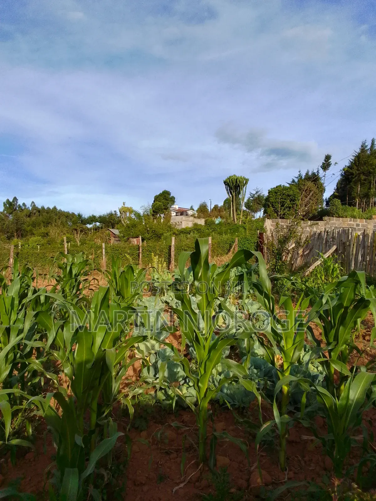 1⁄2 Acre Murengeti in Bibirioni