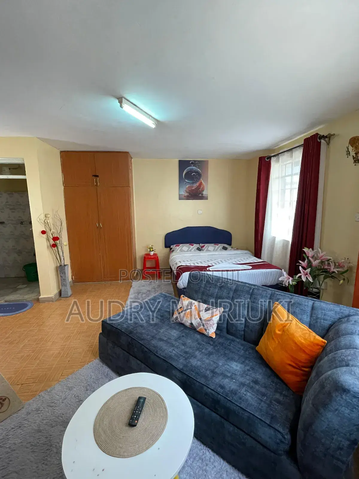 Studio and One Bedroom Airbnb TRM Drive Roysambu Thika Road. in Roysambu