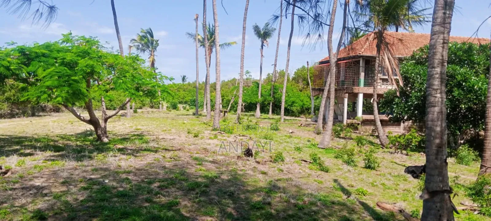 Beach Plot +Beachfront Land - For Sale in Matsangoni