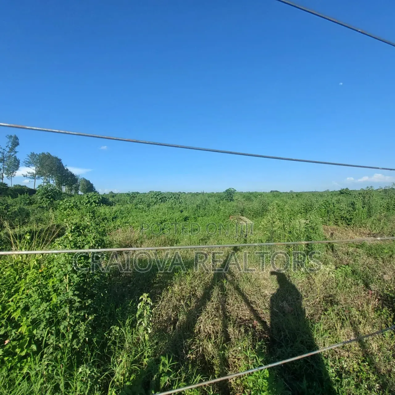 Zuri Springs - Serviced and Unserviced Plots in Juja