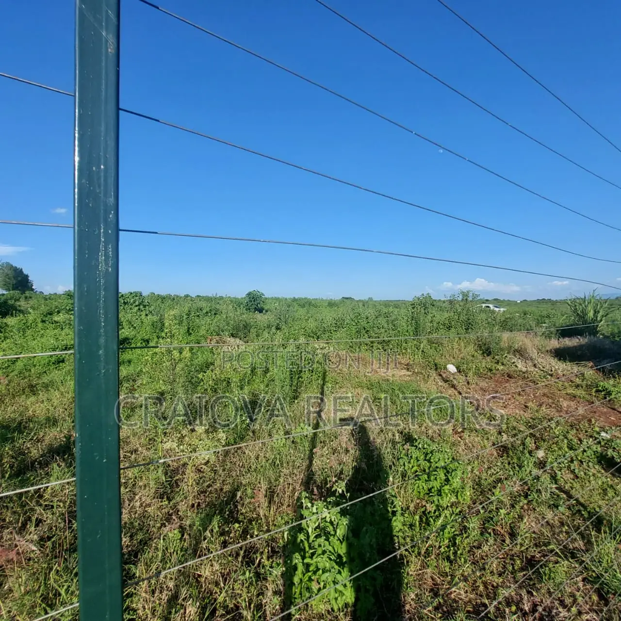 Zuri Springs - Serviced and Unserviced Plots in Juja