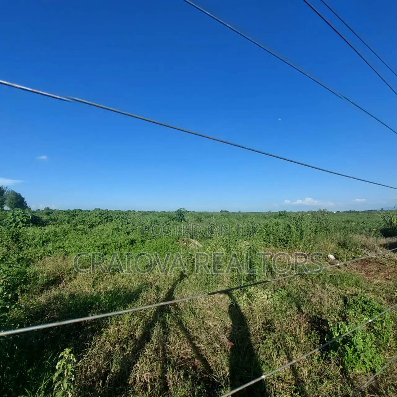Zuri Springs - Serviced and Unserviced Plots in Juja