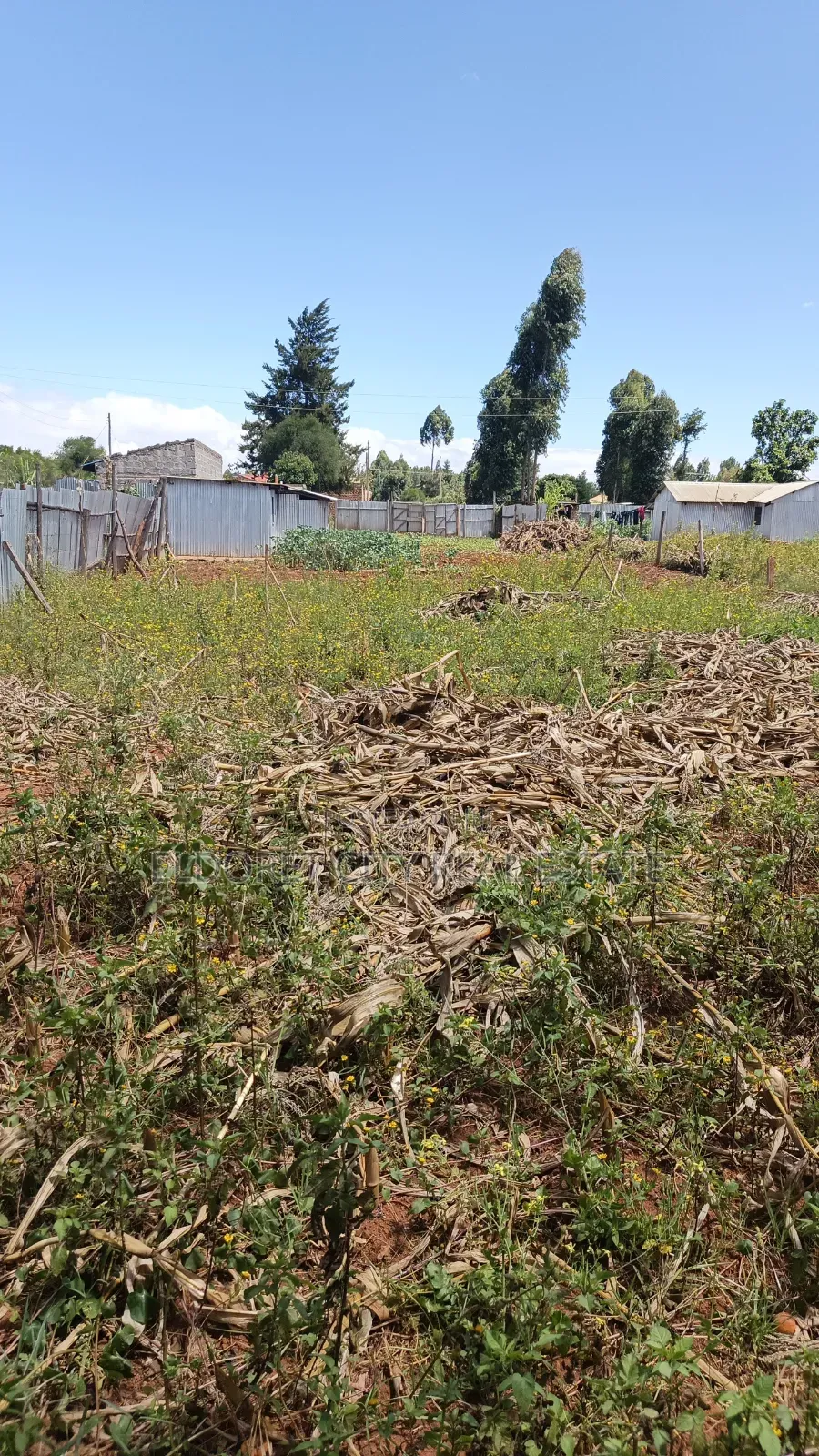 1/4 Plot Kimumu Chebarus With Title in Eldoret West